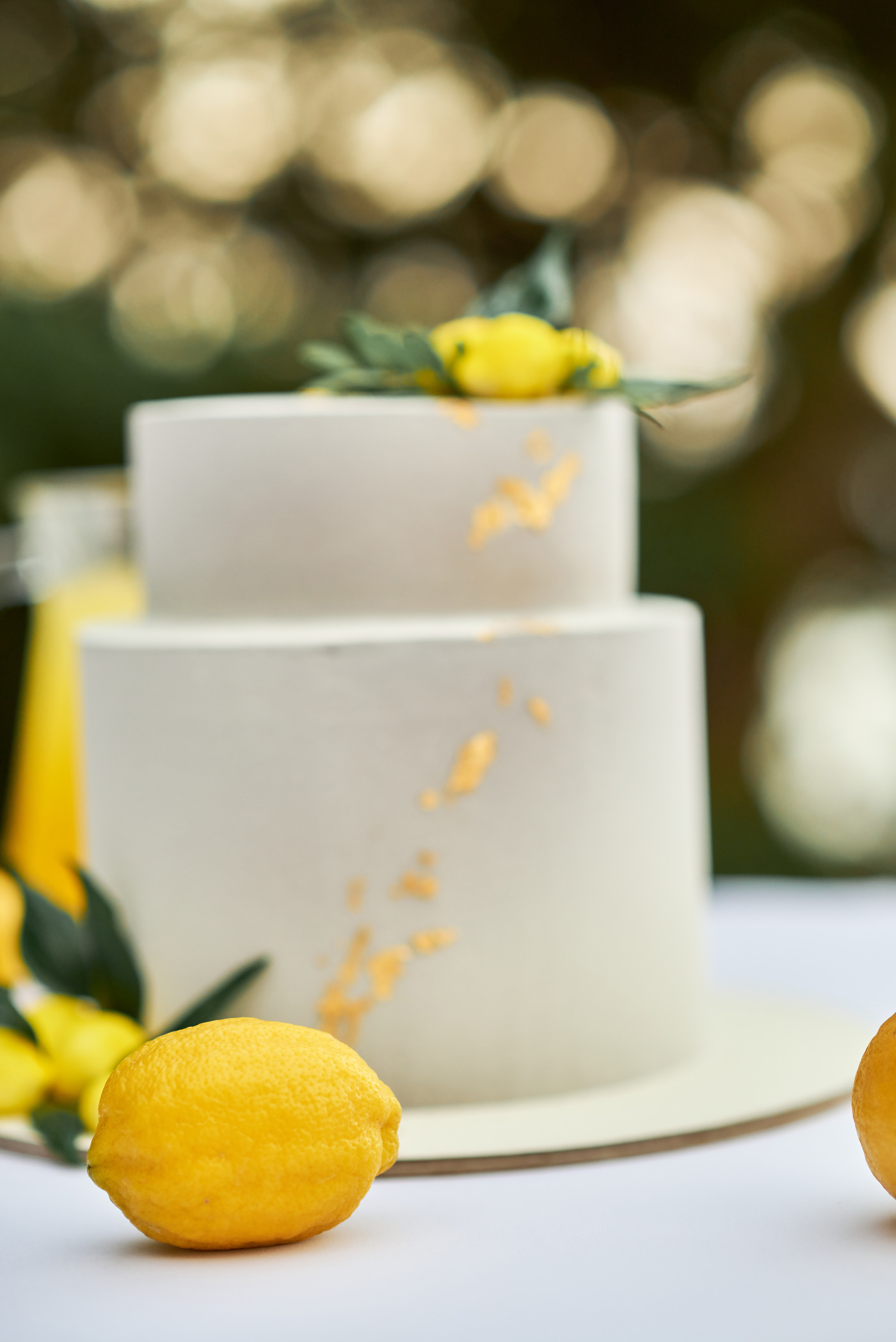 Гости Светланы и Евгения. Таучелов Сергей. Фотограф, Видеограф, Видеооператор в Симферополе