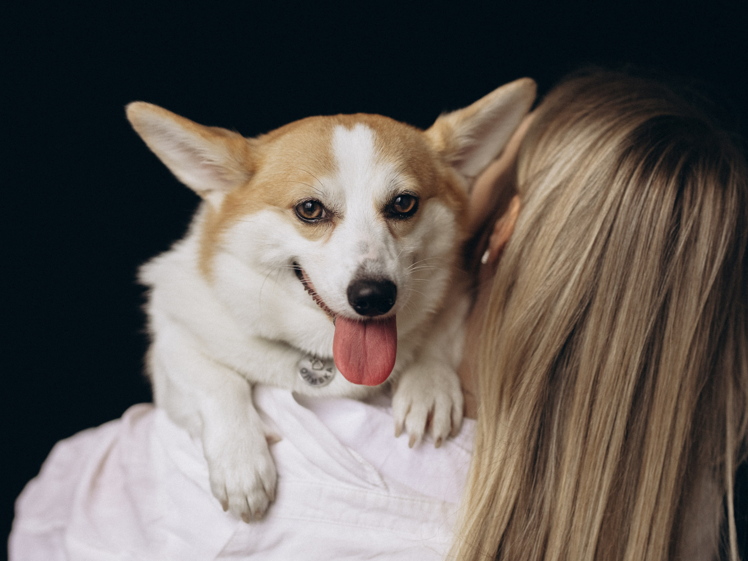 Оливка и Ника. Фотограф-анималист в Москве Кириллова Татьяна