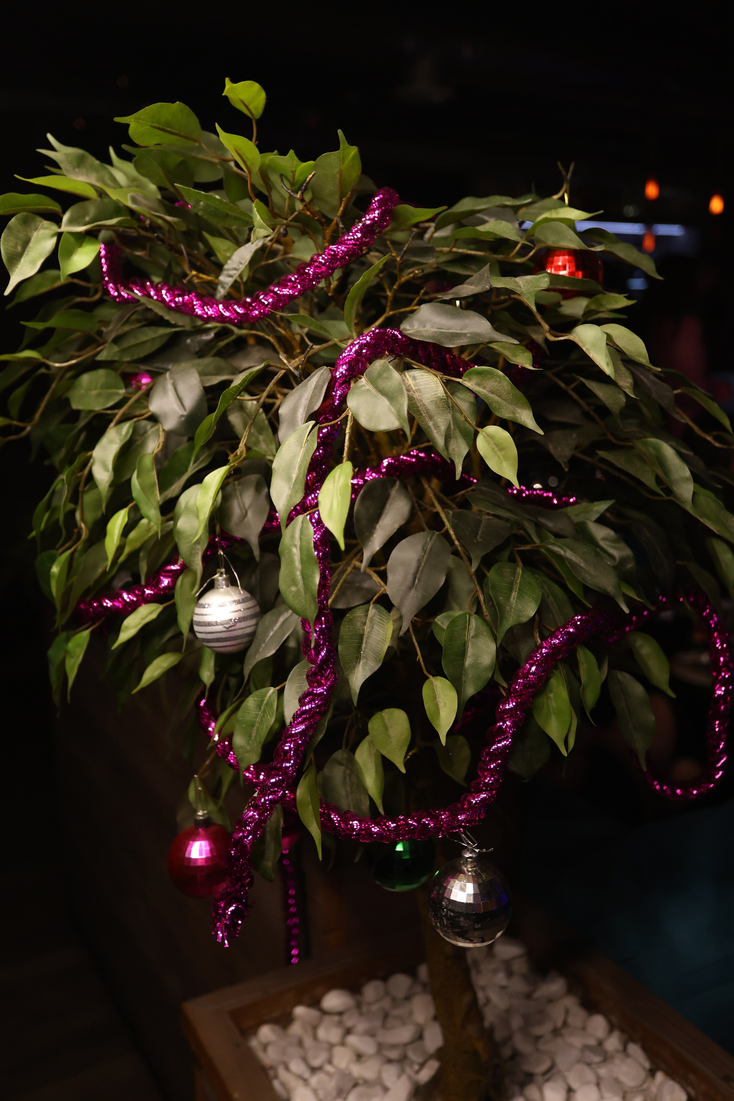 New Year 27-12-24. Мята Спортивная — Кальянная, караоке, бар в Минске