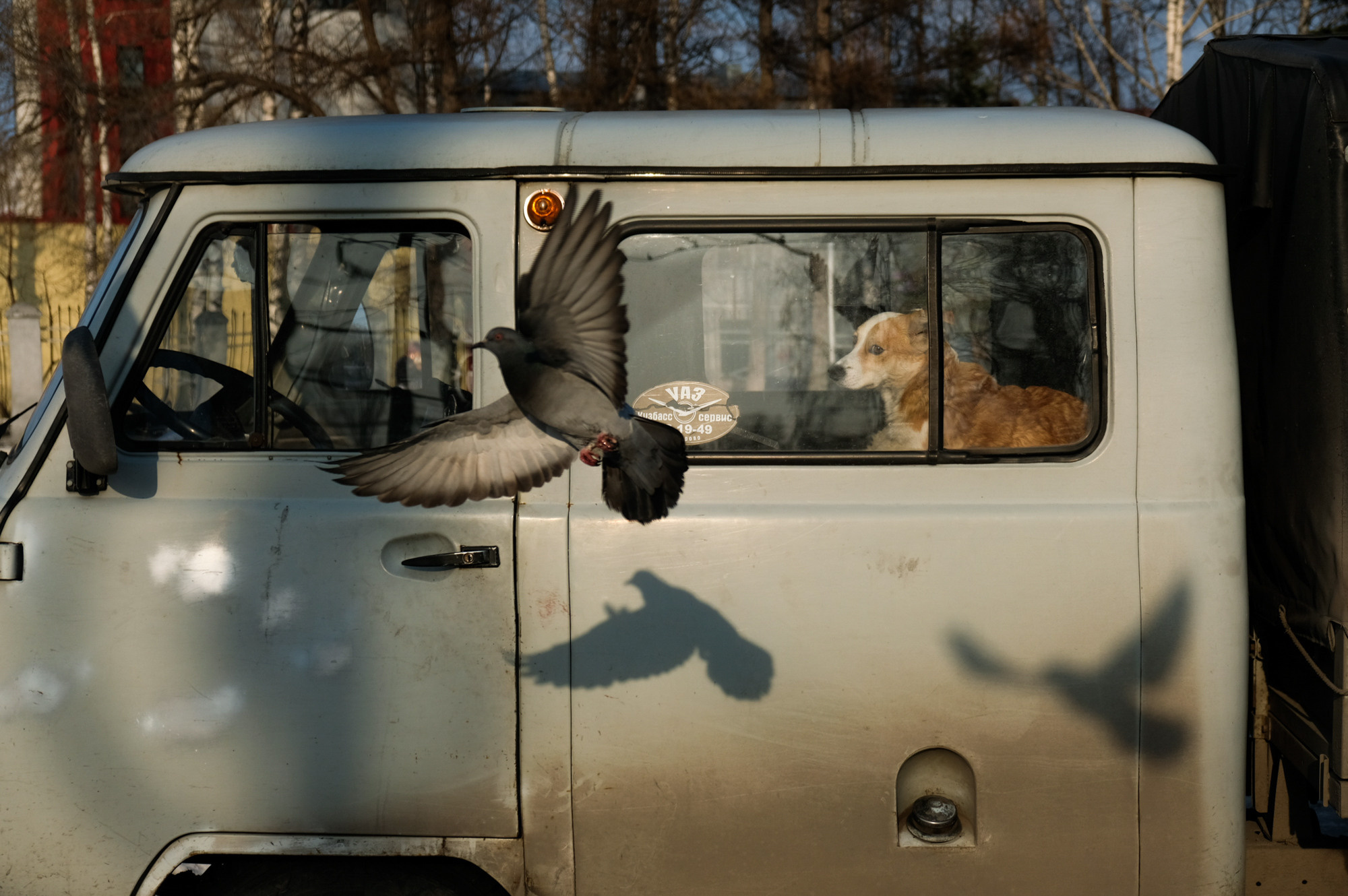 Репортаж. Виль Равилов фотограф в Кемеровской области-Кузбасс