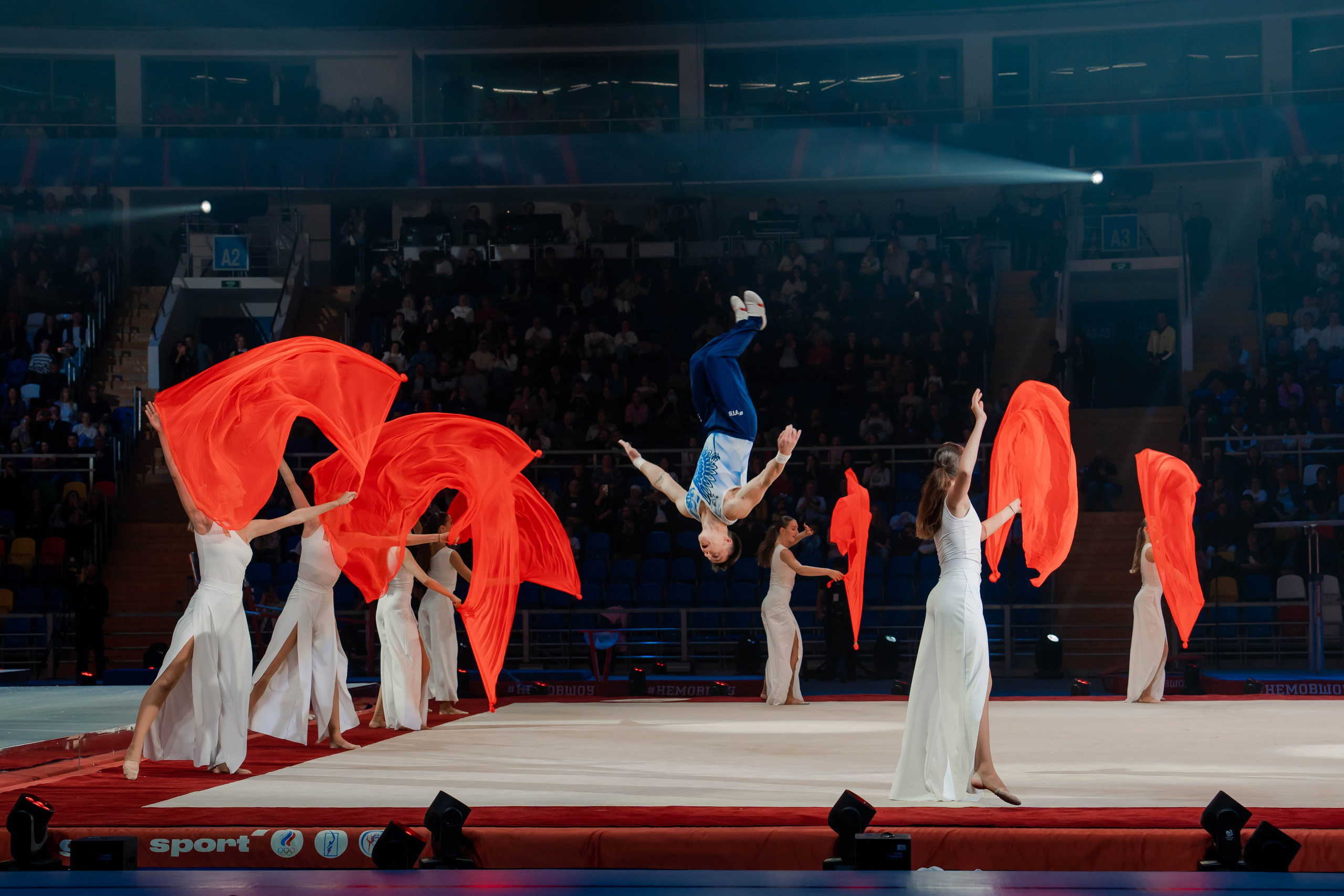 Шоу Алексея Немова 2024. Крамер Юлиана детский и семейный фотограф