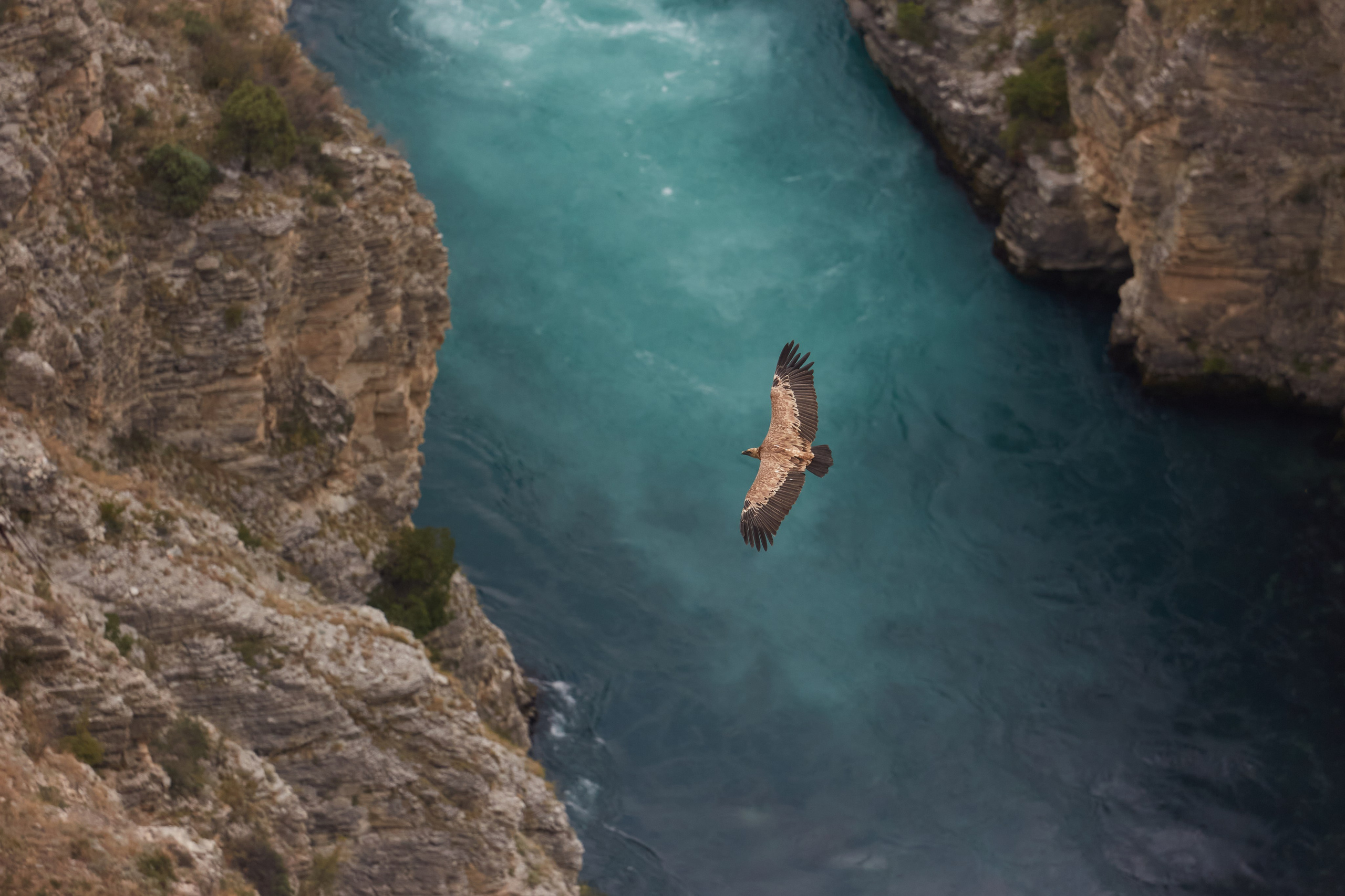 Путешествия и лайфстайл. Горный фотограф на Кавказе Никита Першин