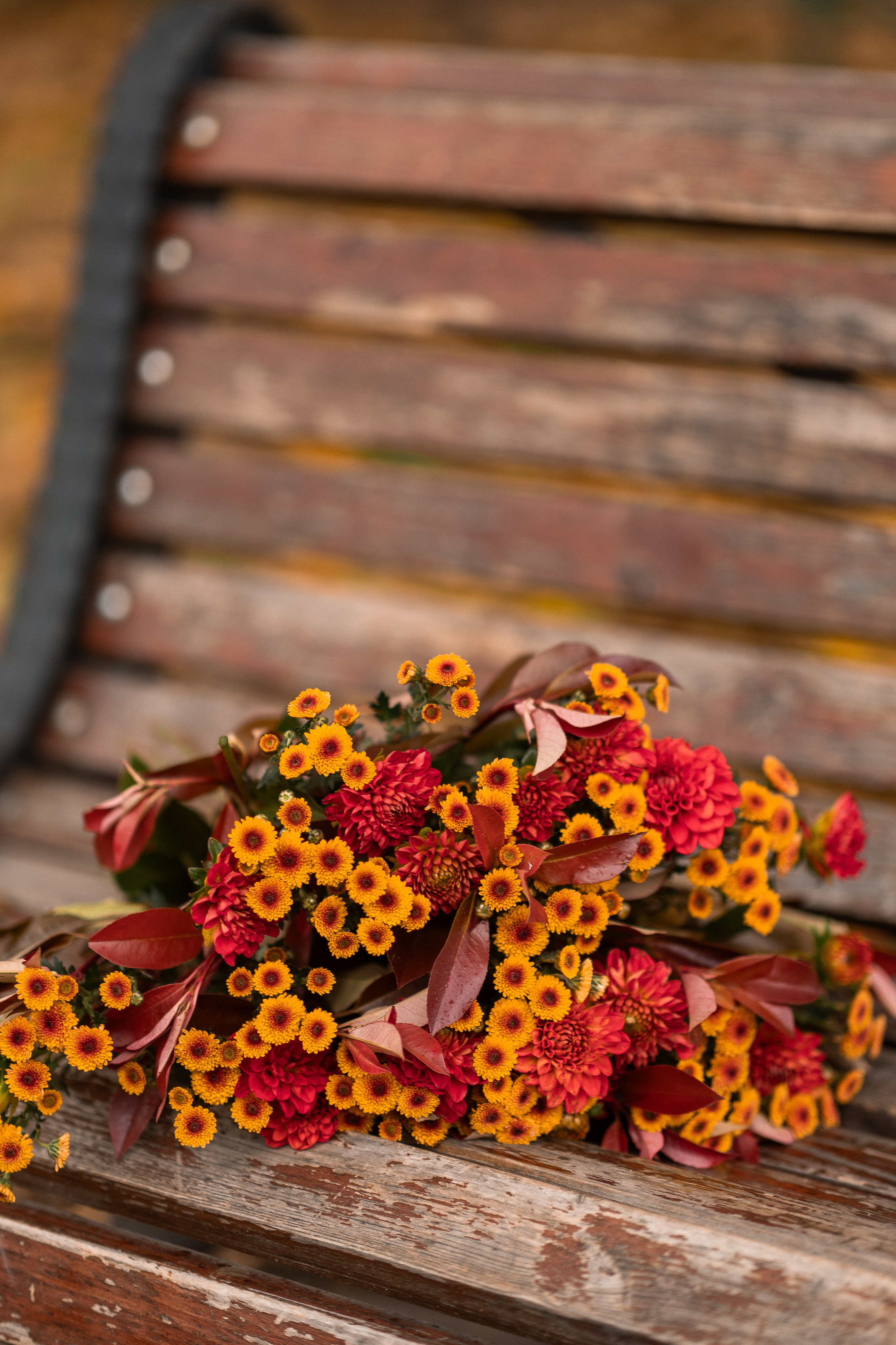 Love Story Вадим и Катя. Фото и видео Москва, Московский. Свадебный фотограф, видеограф, фотосессии, видеосъемка