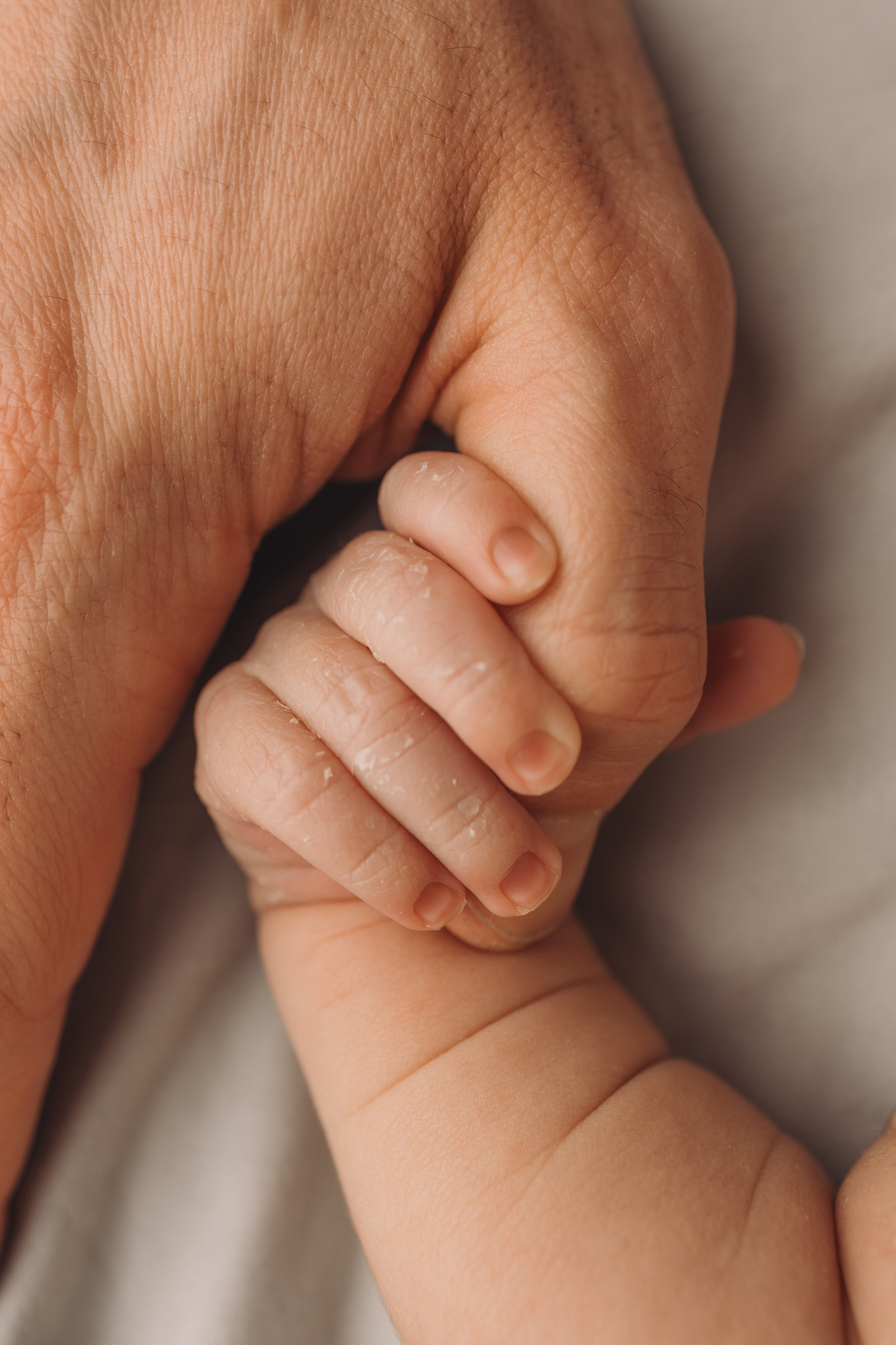 Лев 7 дней. Фотограф новорождённых Newborn Москва