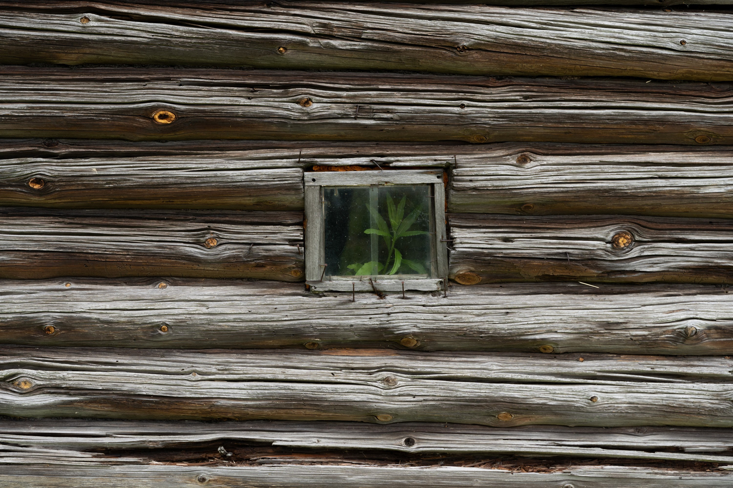 Home.land. Künstler Verstecktoff