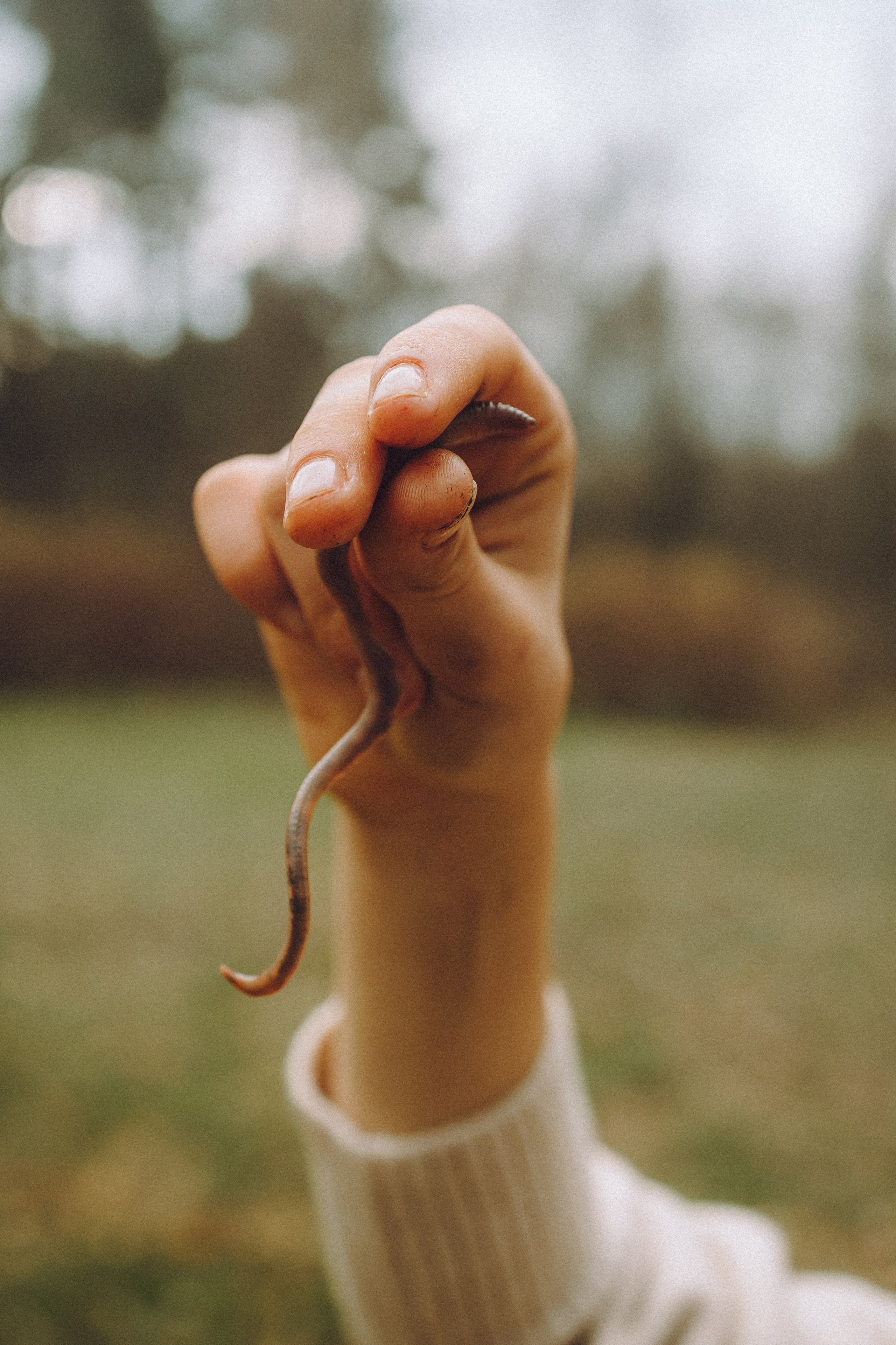 Дориан и его семья