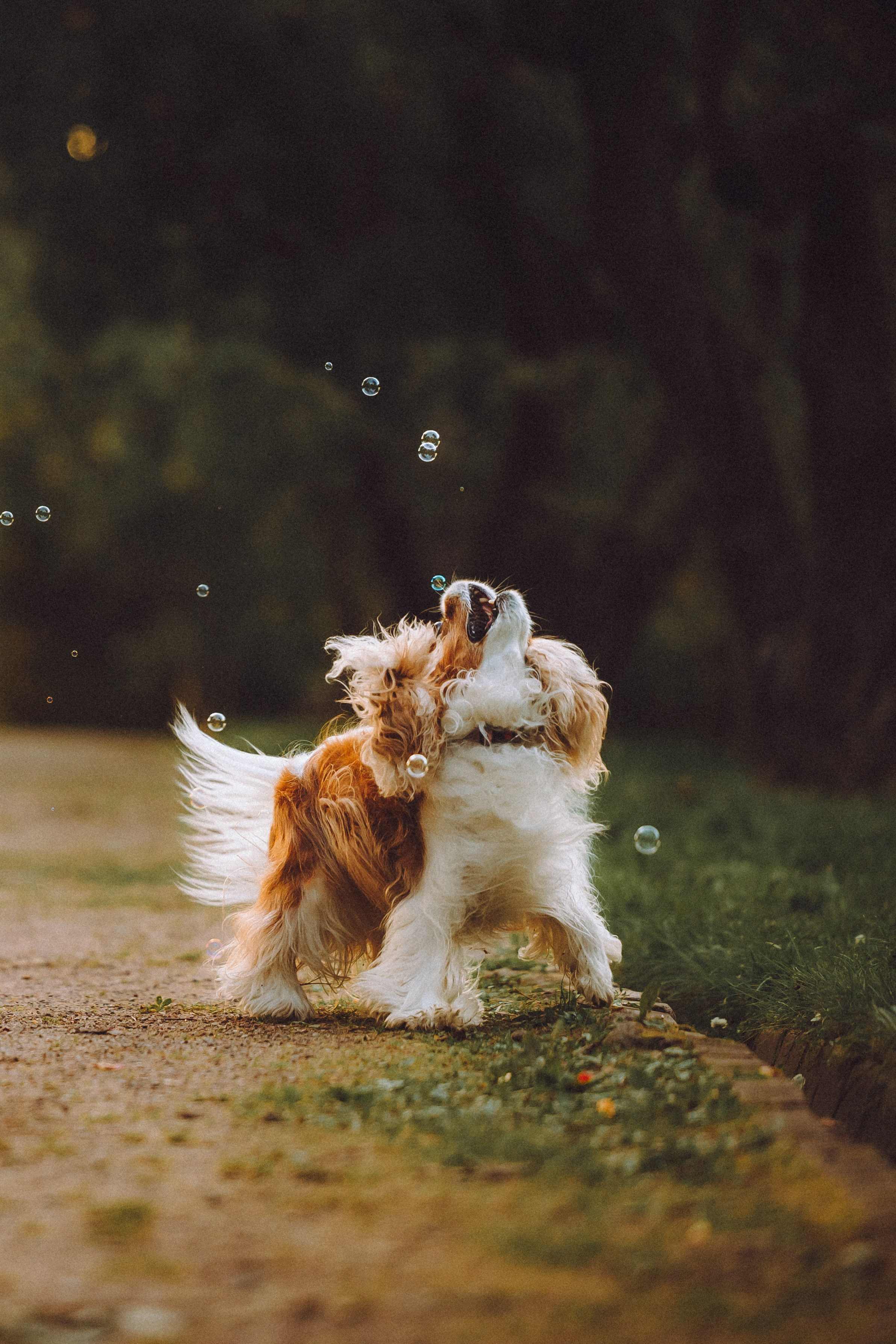 Наташа и Вики