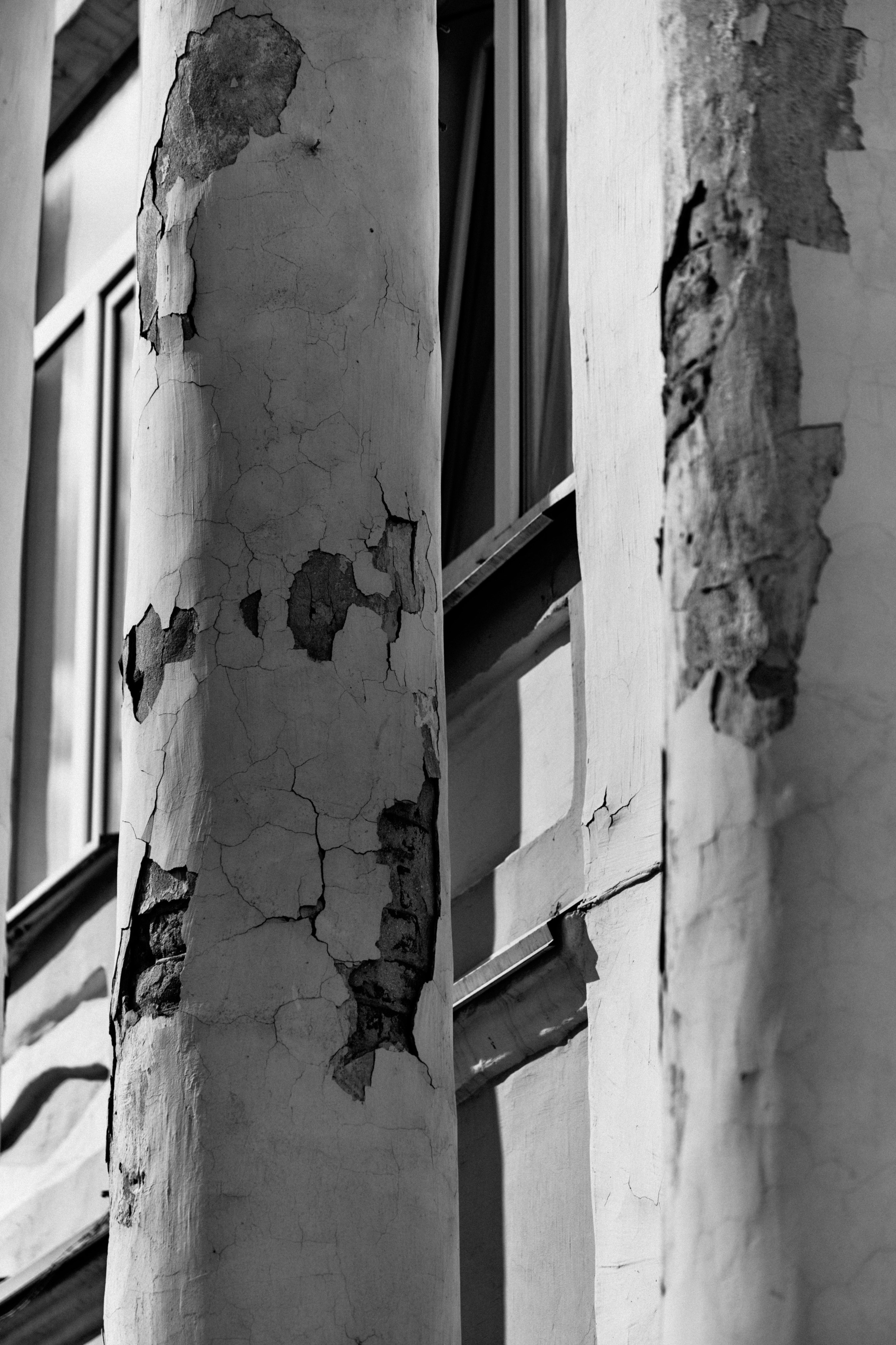 BAON x Кудыкина Гора. Фотограф Сурков Никита