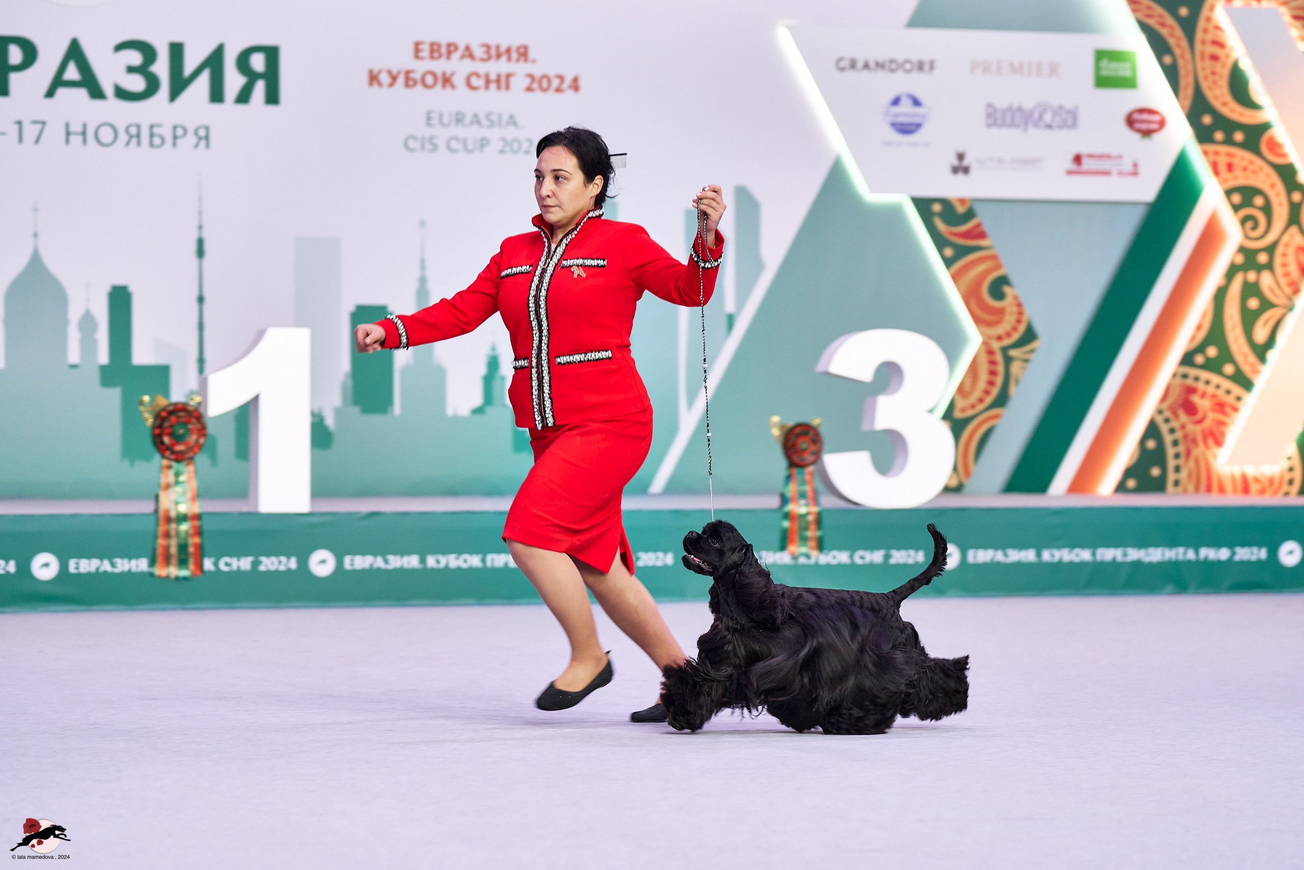 17.11.2024 «ЕВРАЗИЯ. КУБОК СНГ 2024»