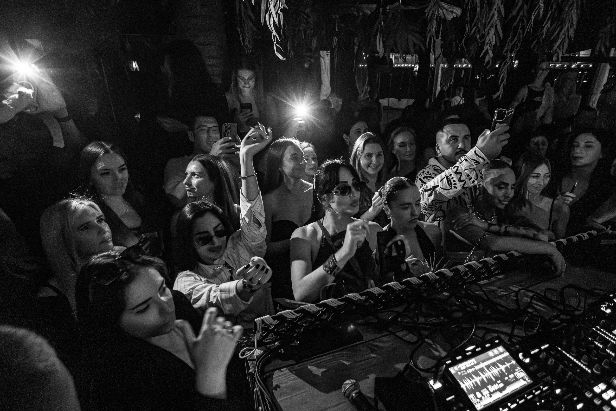 «Karena Makarena"_Чайка на пляже_ Ялта_6.06.2025 г. Аминов Руслан | Фотограф