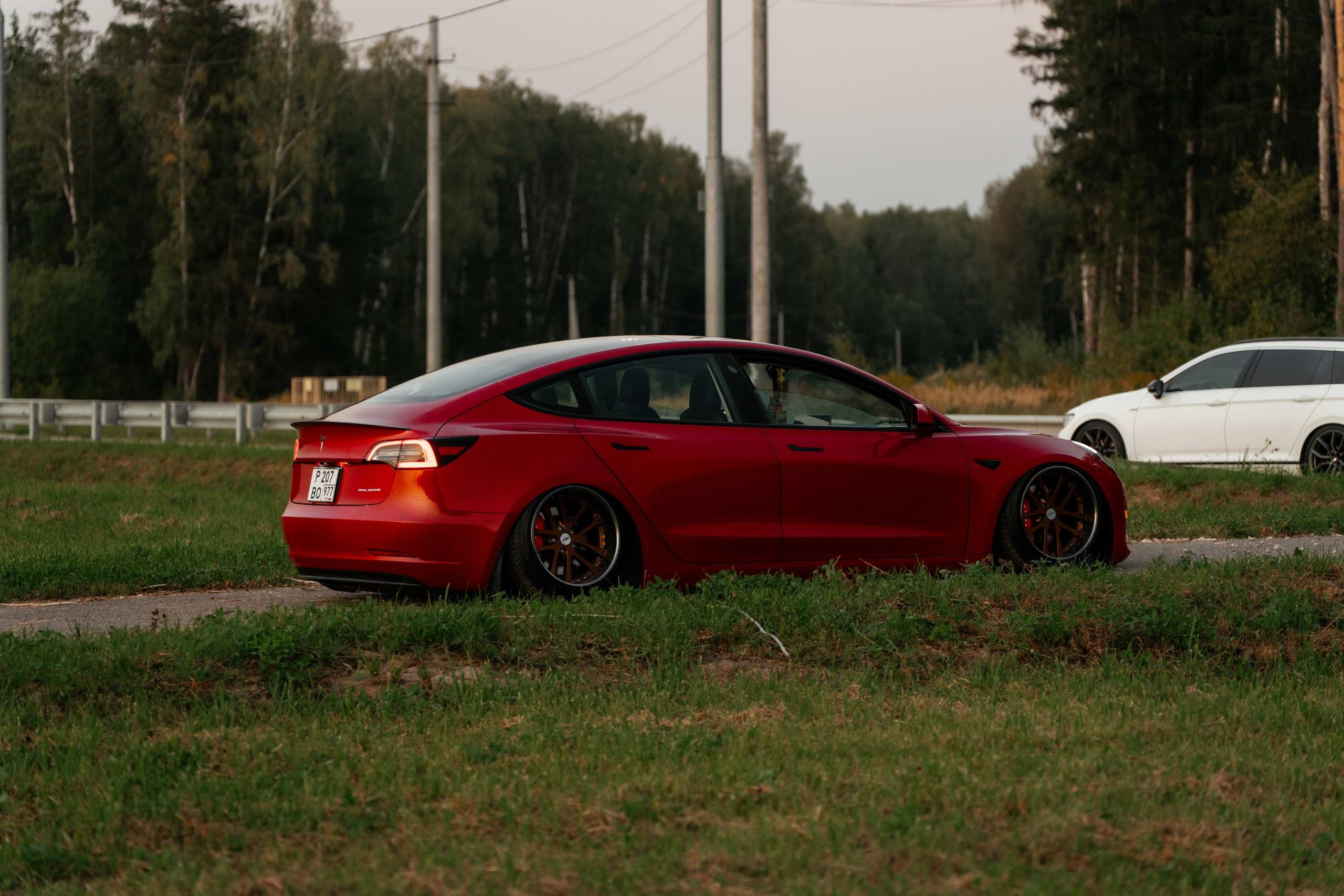 Tesla 3 Stance. Vlad Trykov