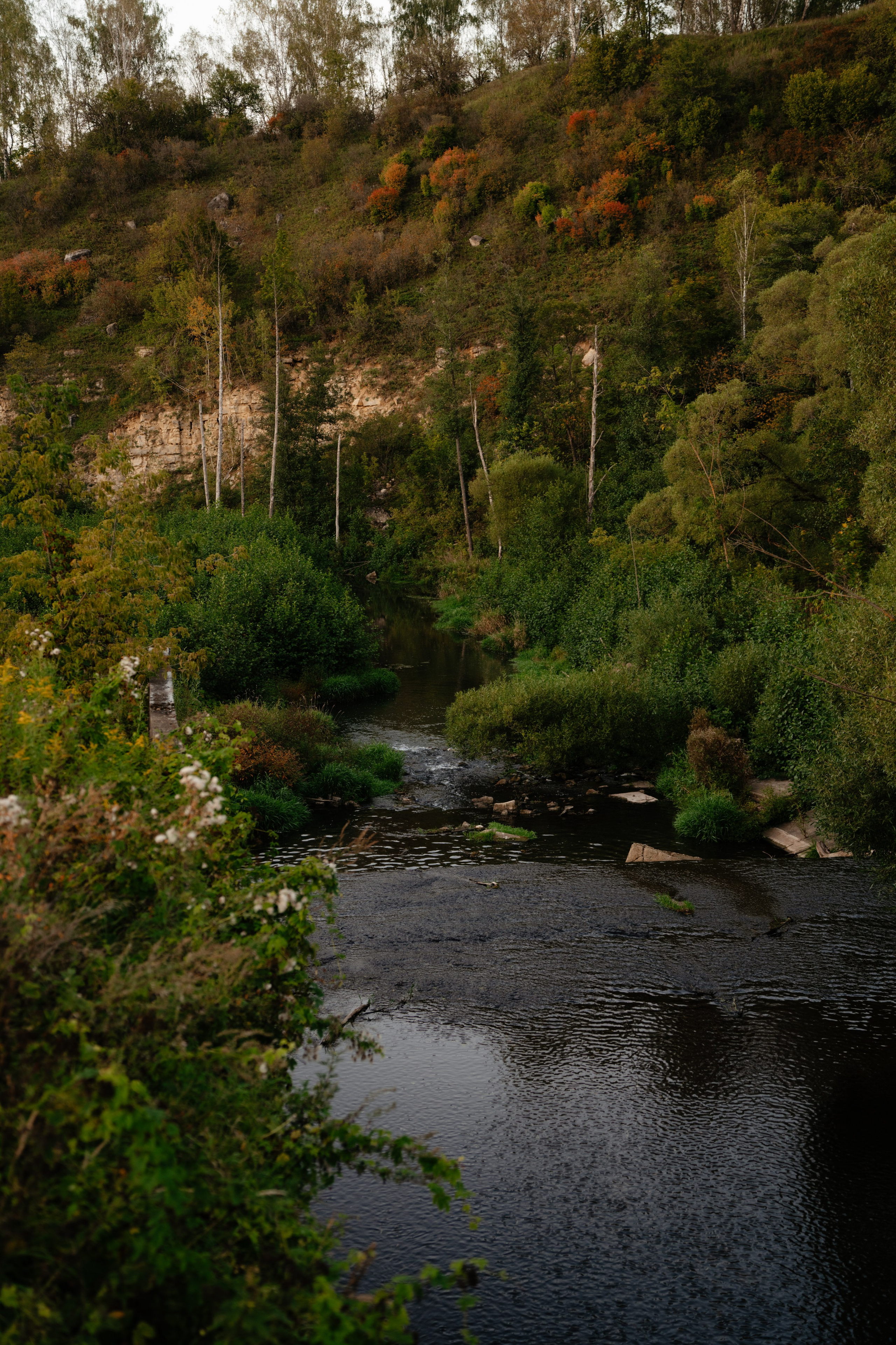 Дугна. Vlad Trykov