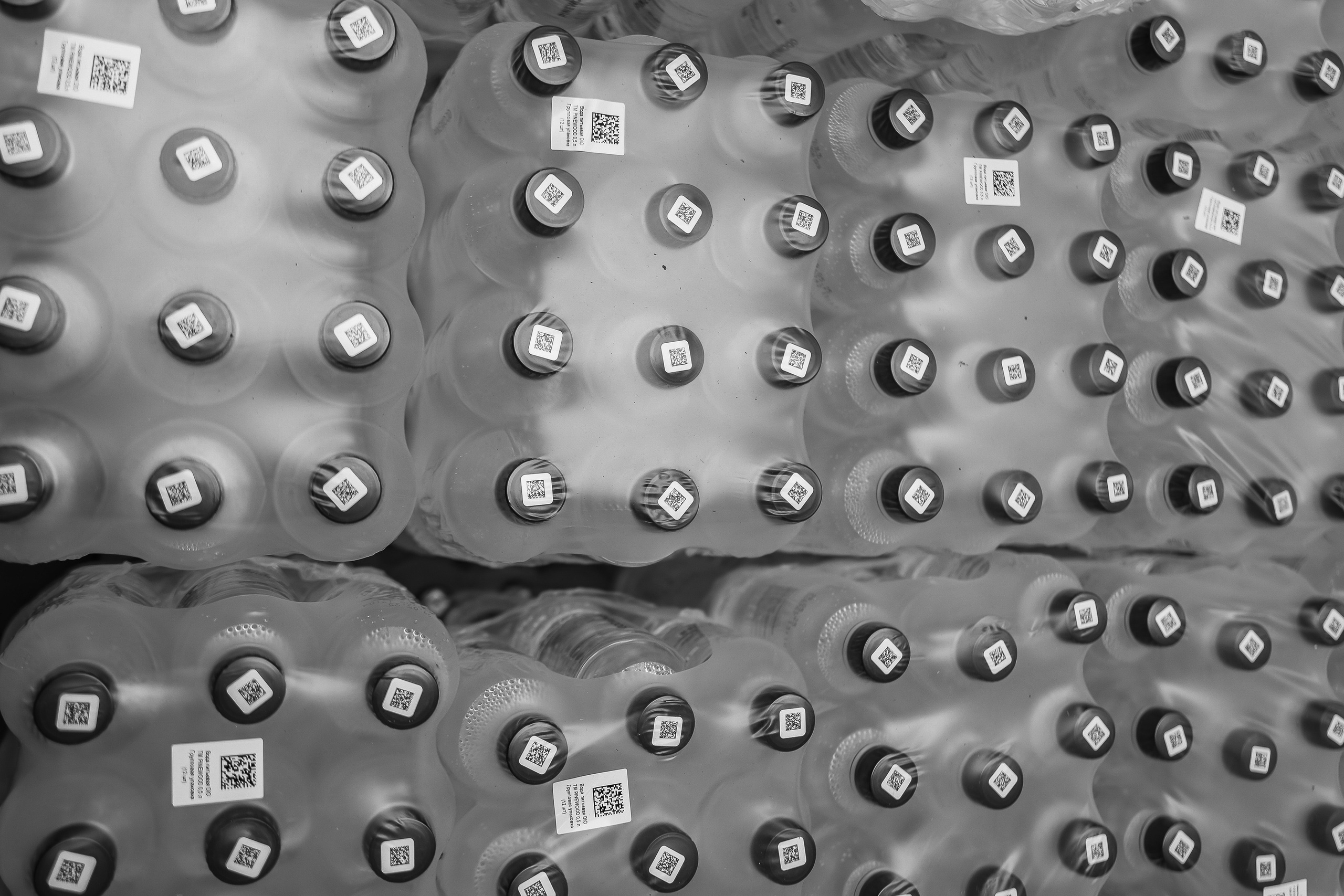 Show To day Выпускной. Фотограф Юлия Мальцева