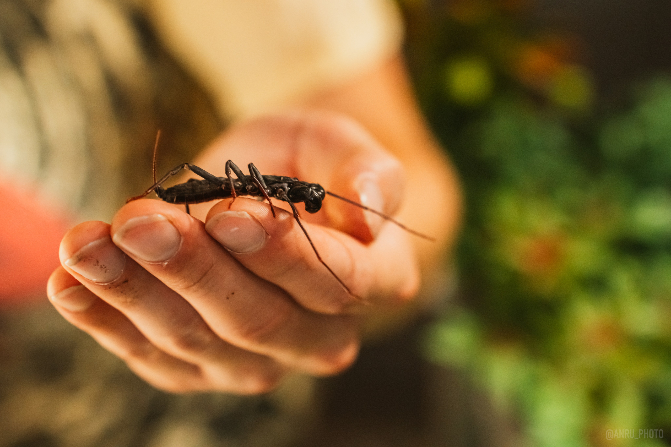 Рептилиум. Репортажный фотограф Анастасия Рубцова