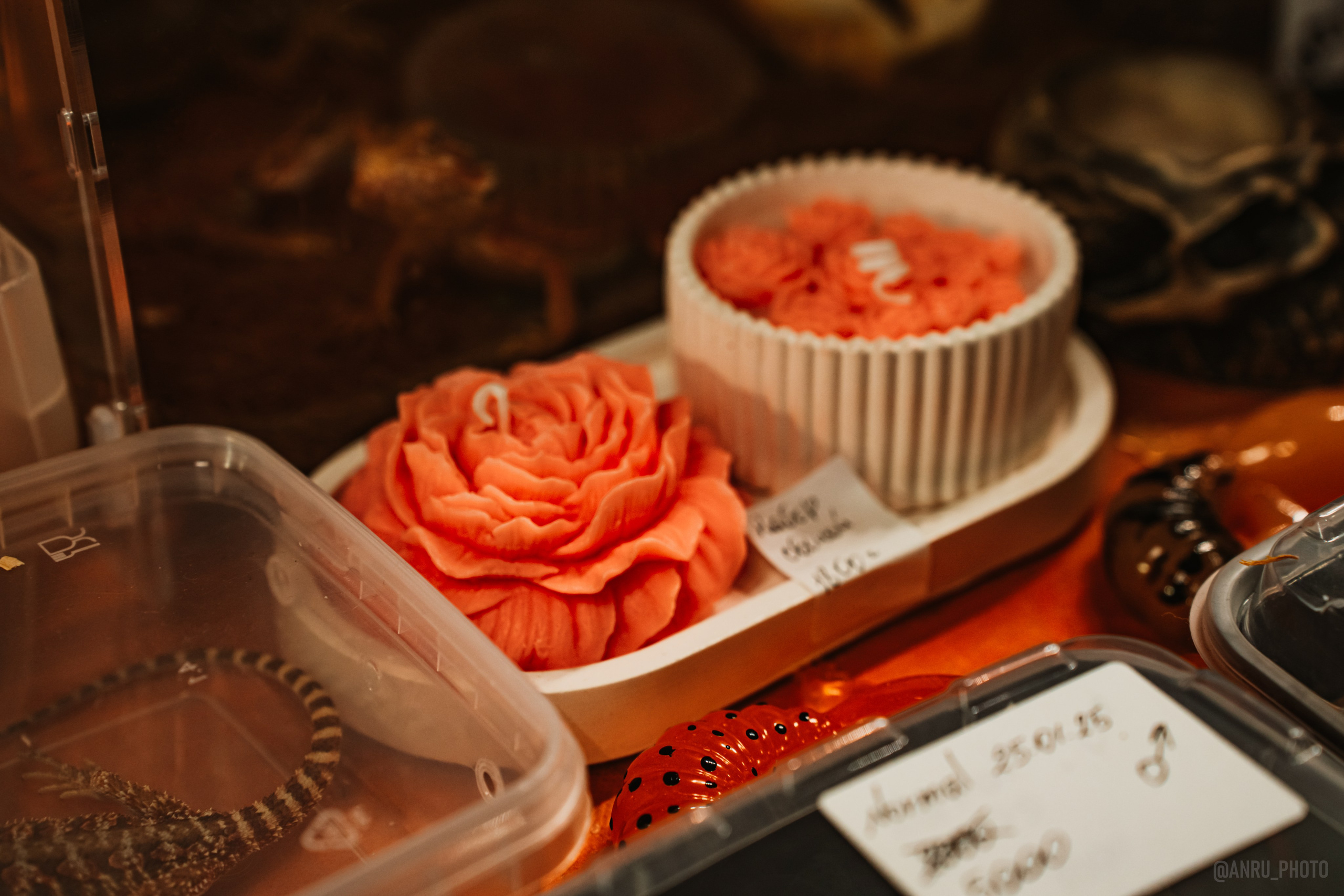 Рептилиум (ручная работа). Репортажный фотограф Анастасия Рубцова