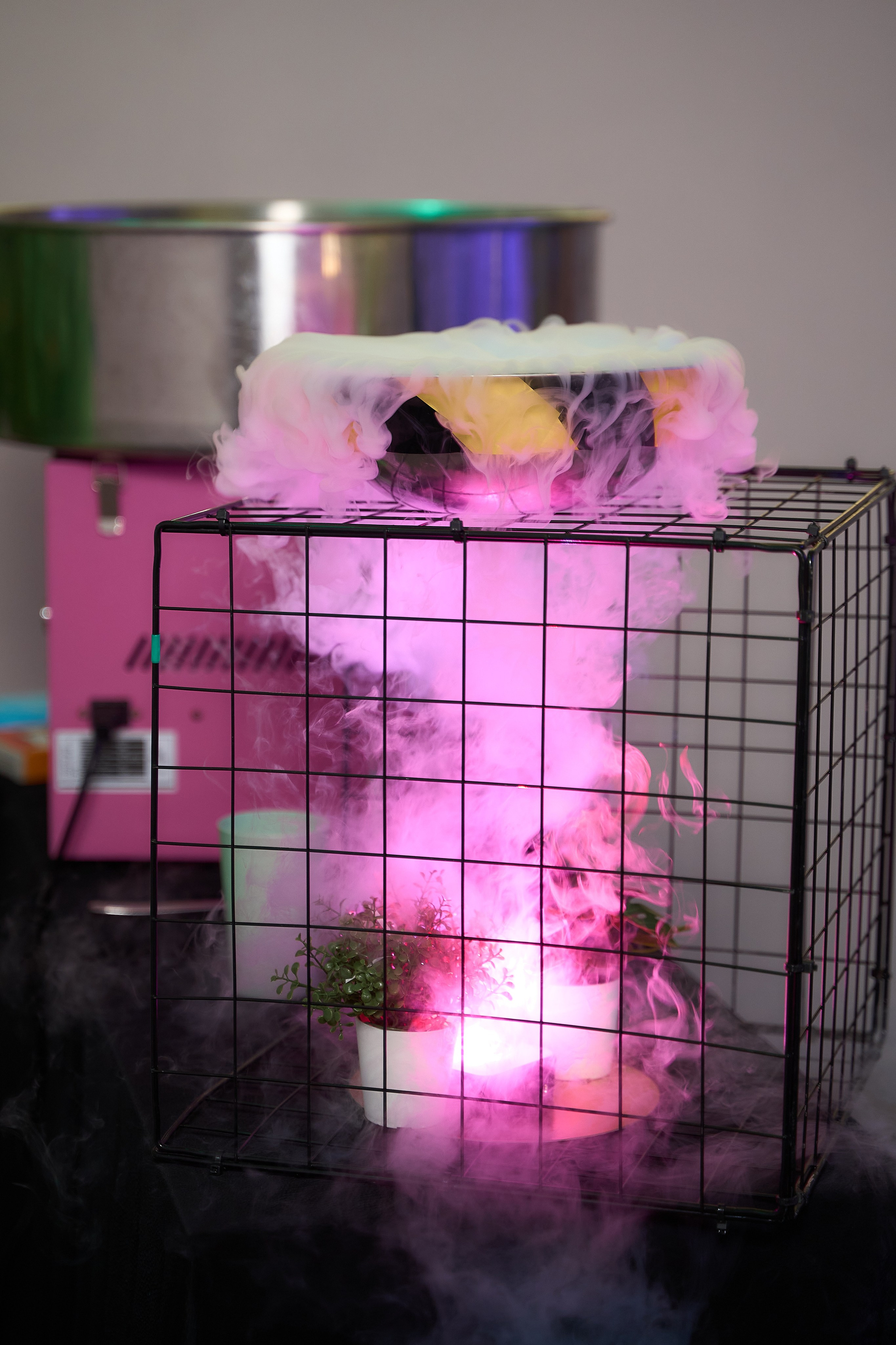 День рождения Киры. Фотограф и видеограф в Екатеринбурге