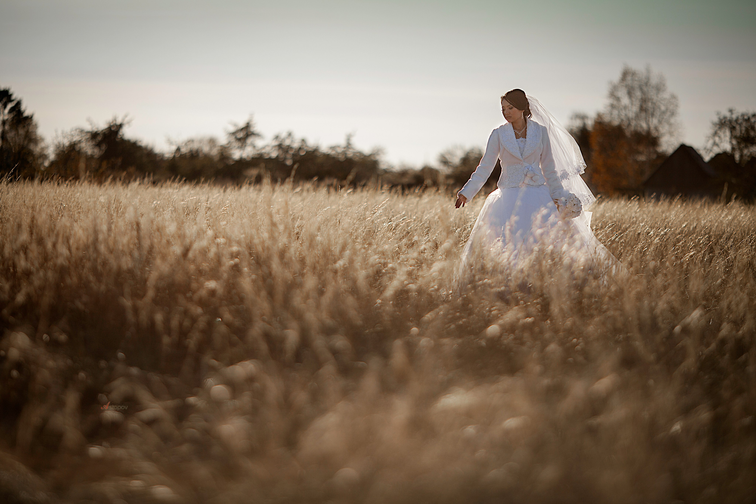 Азамат и Айка в Экибастузе. Семейный и Свадебный фотограф в Астане Александр Астапов
