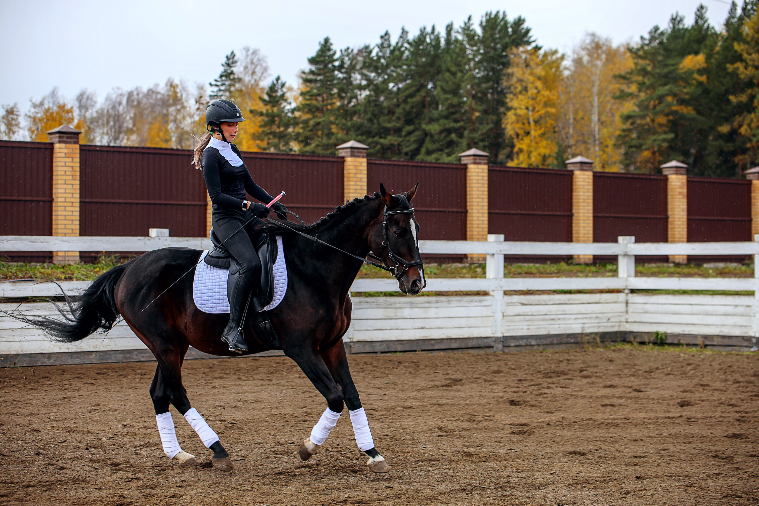 Конные клубы. Конный фотограф в Красноярске — Любовь Похабова