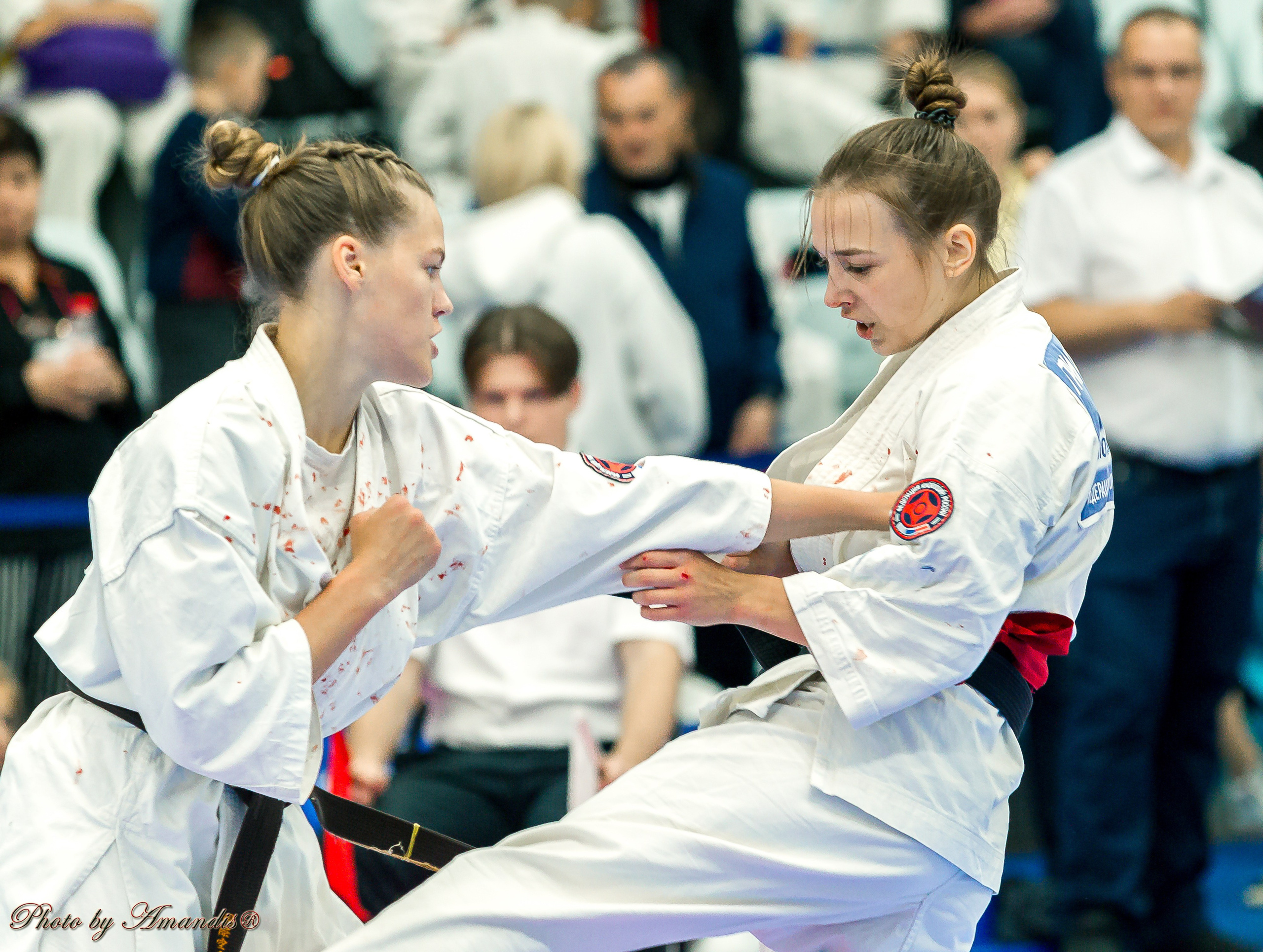 Чемпионат по Киокушинкай Центрального Федерального округа. Репортажная съемка в Москве и области. Анималистика