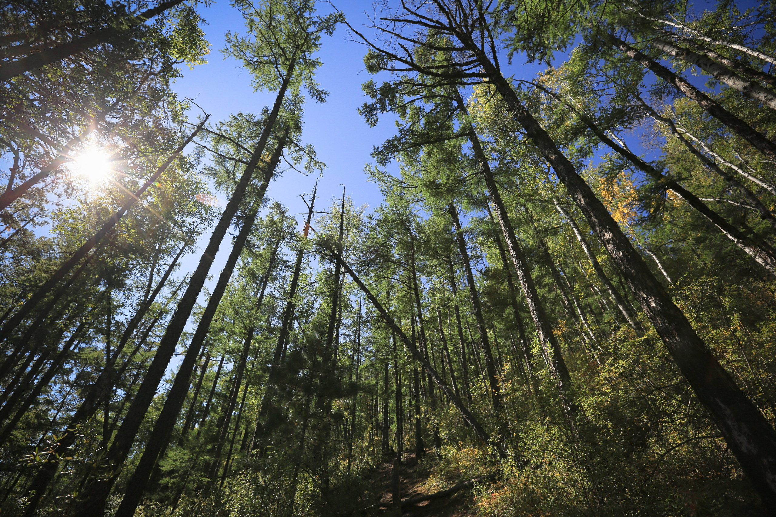 Фото Природы Забайкалья. Студия Максима Белослюдцева