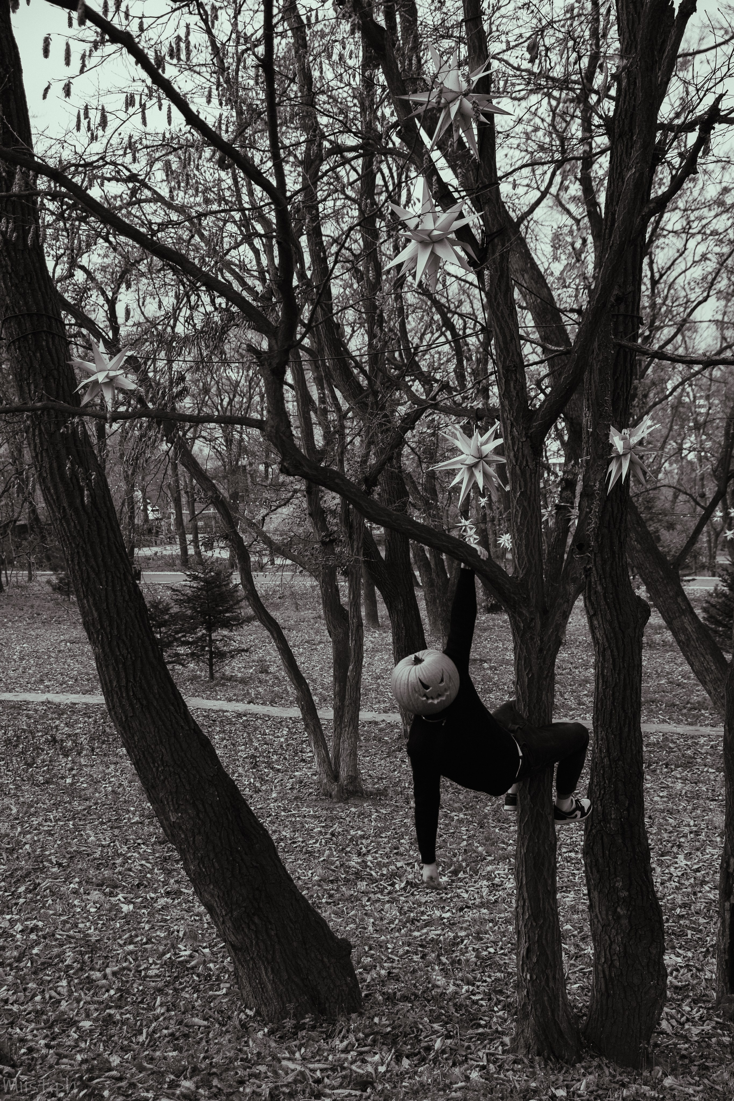 Виктор тыква. ФОТОГРАФ ВО ВЛАДИВОСТОКЕ| СВАДЕБНЫЙ ФОТОГРАФ