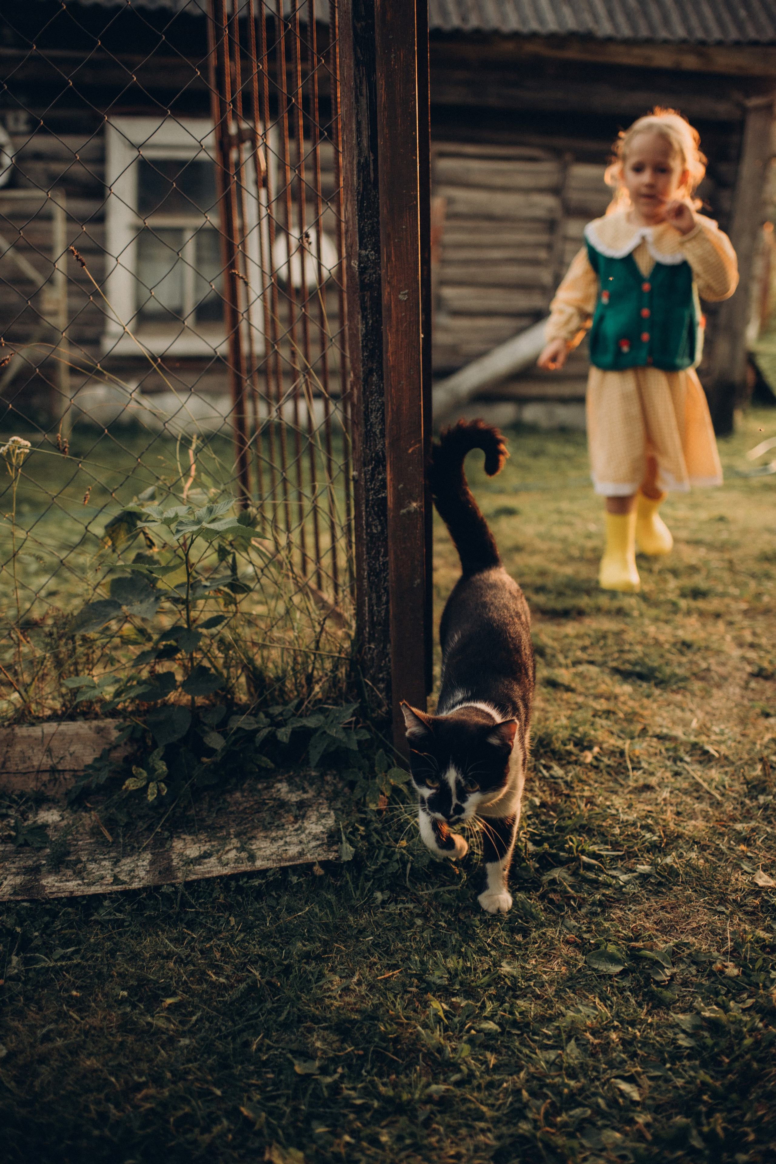 На природе. Фотограф Алиса Чечина. Калуга. Товарково