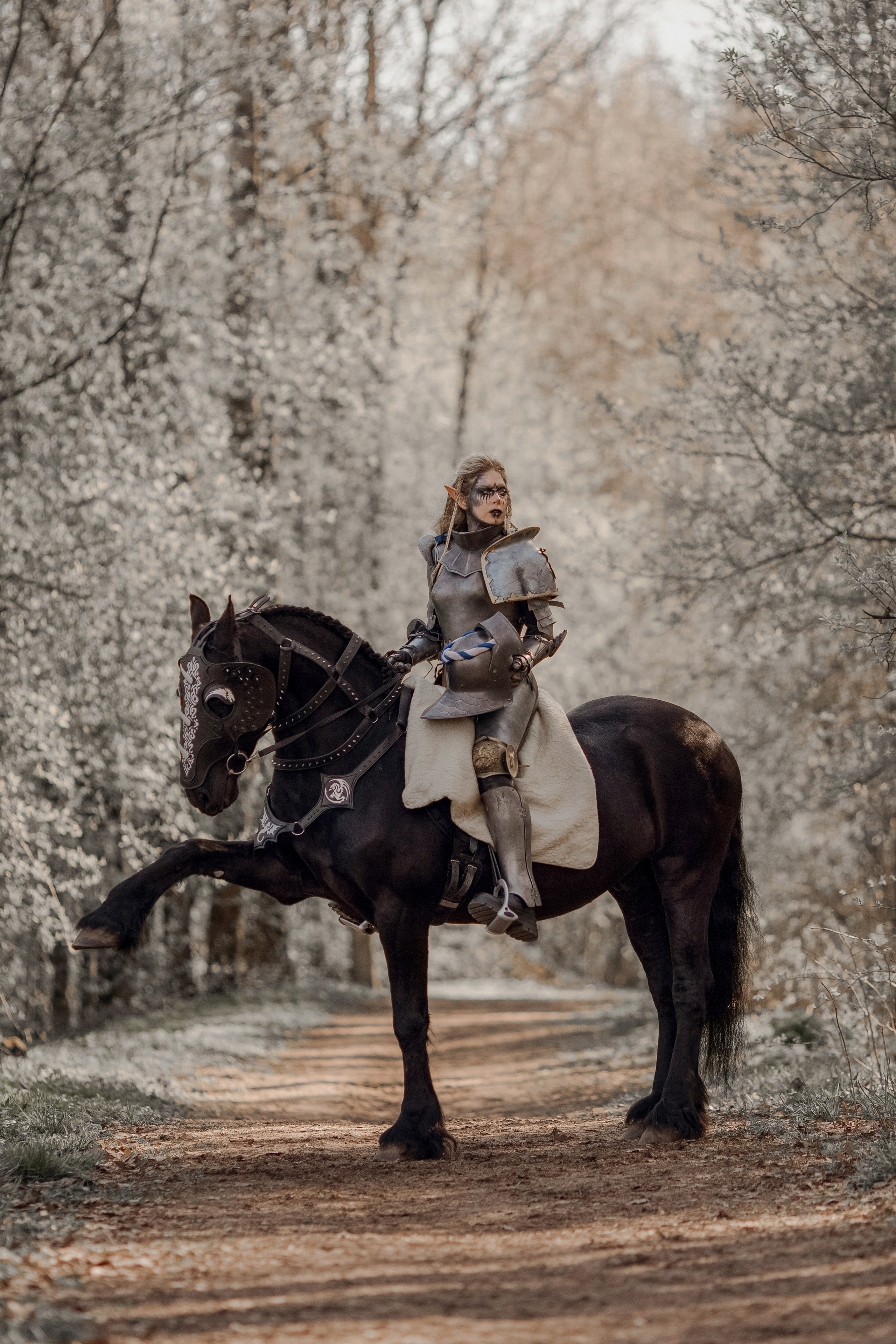 Фотосессия в рыцарских доспехах с лошадью