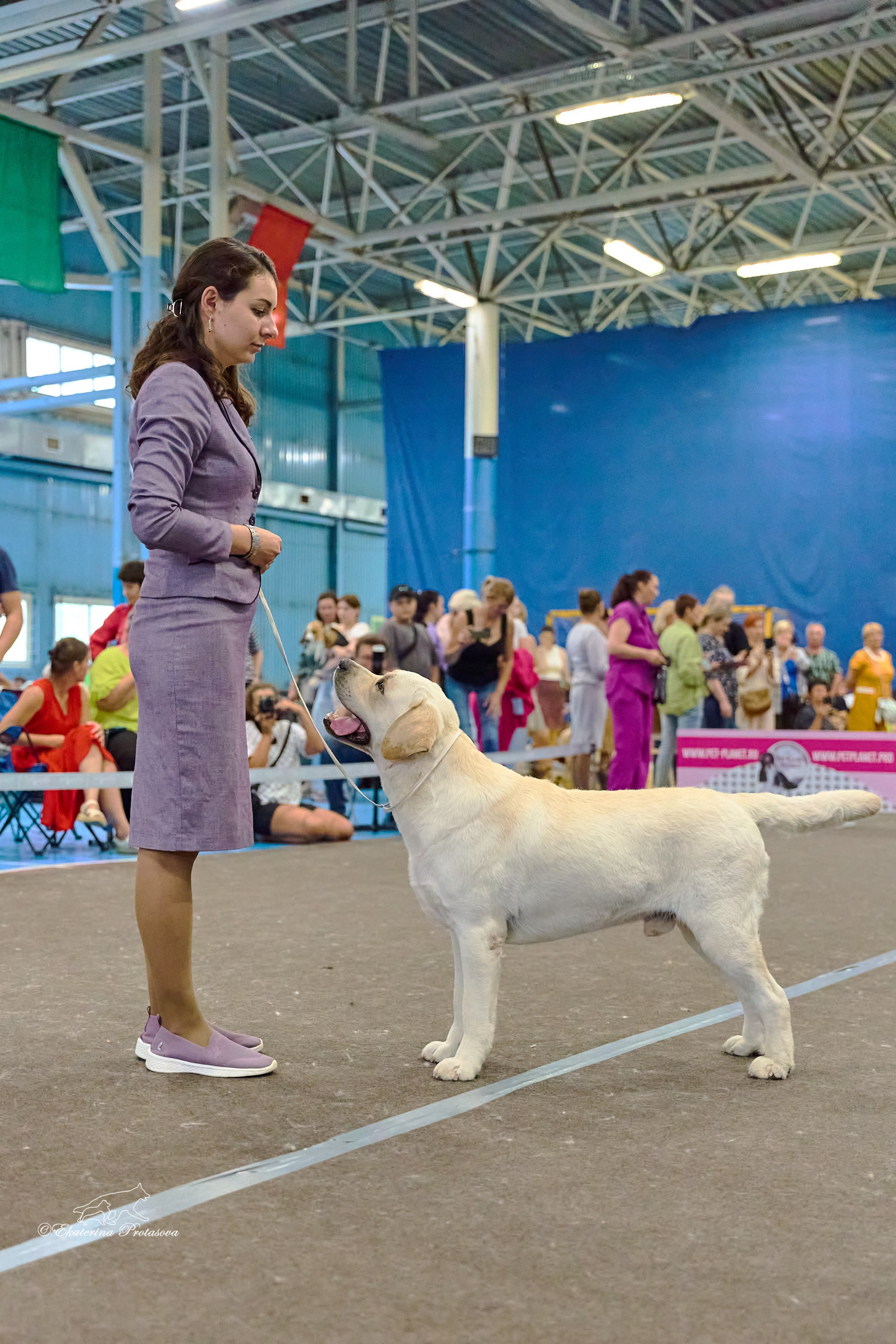 Выставки разное. Фотограф-анималист в Иркутске