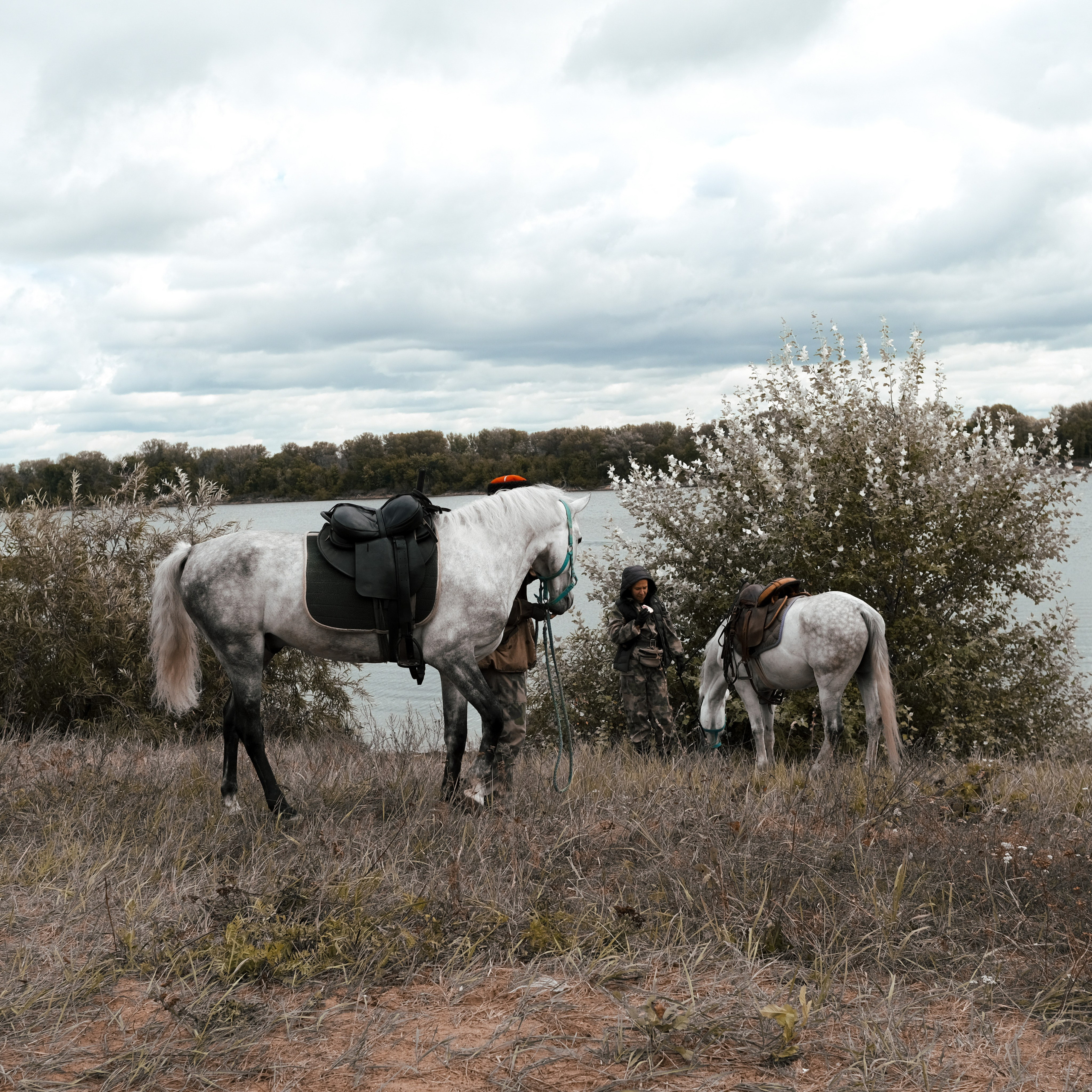 Эко-фестиваль АртЛуга 2022. LIYALEE PHOTO