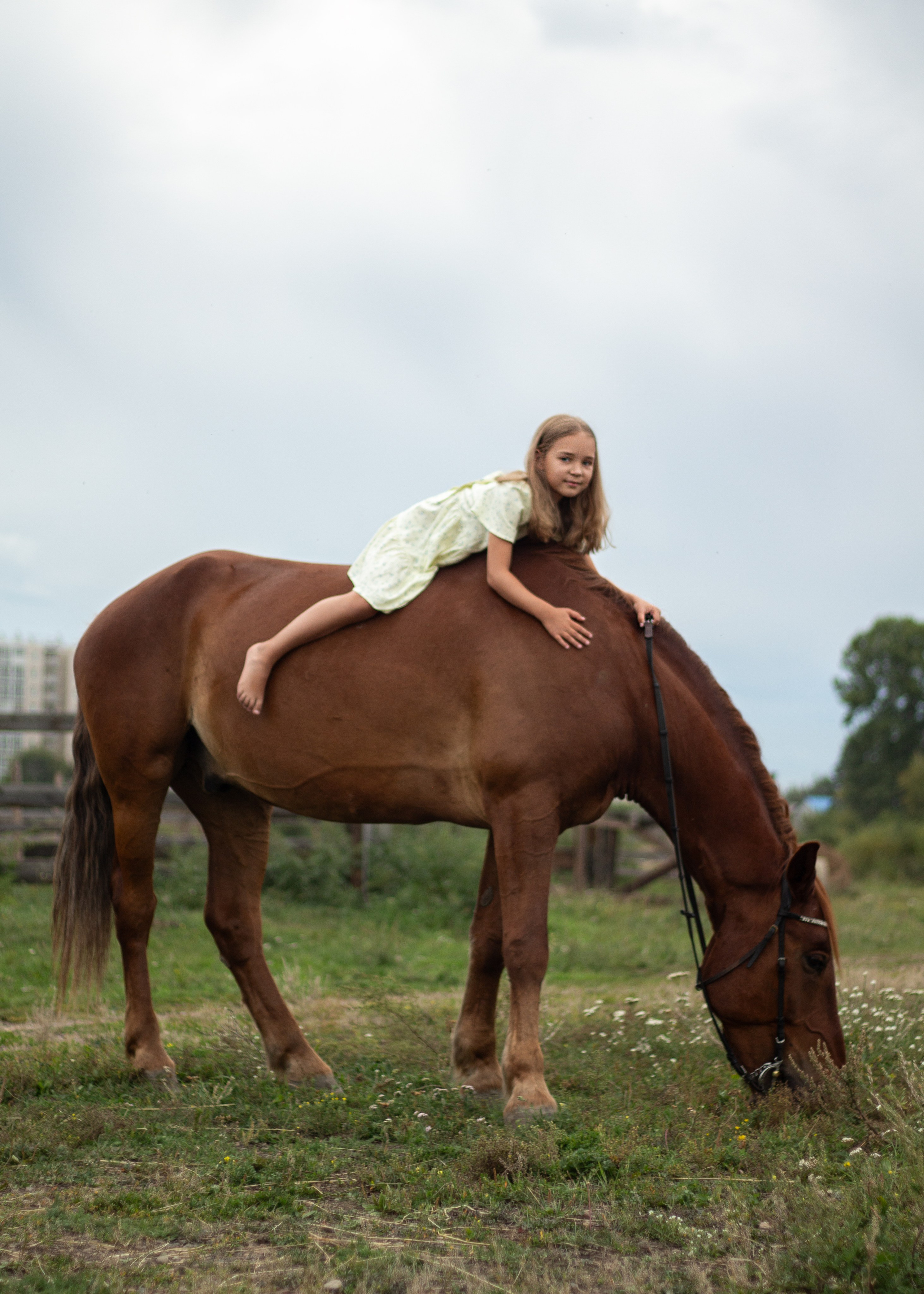 Екатерина и Янтарь. Фотограф в Иркутске, Харитонова Елизавета