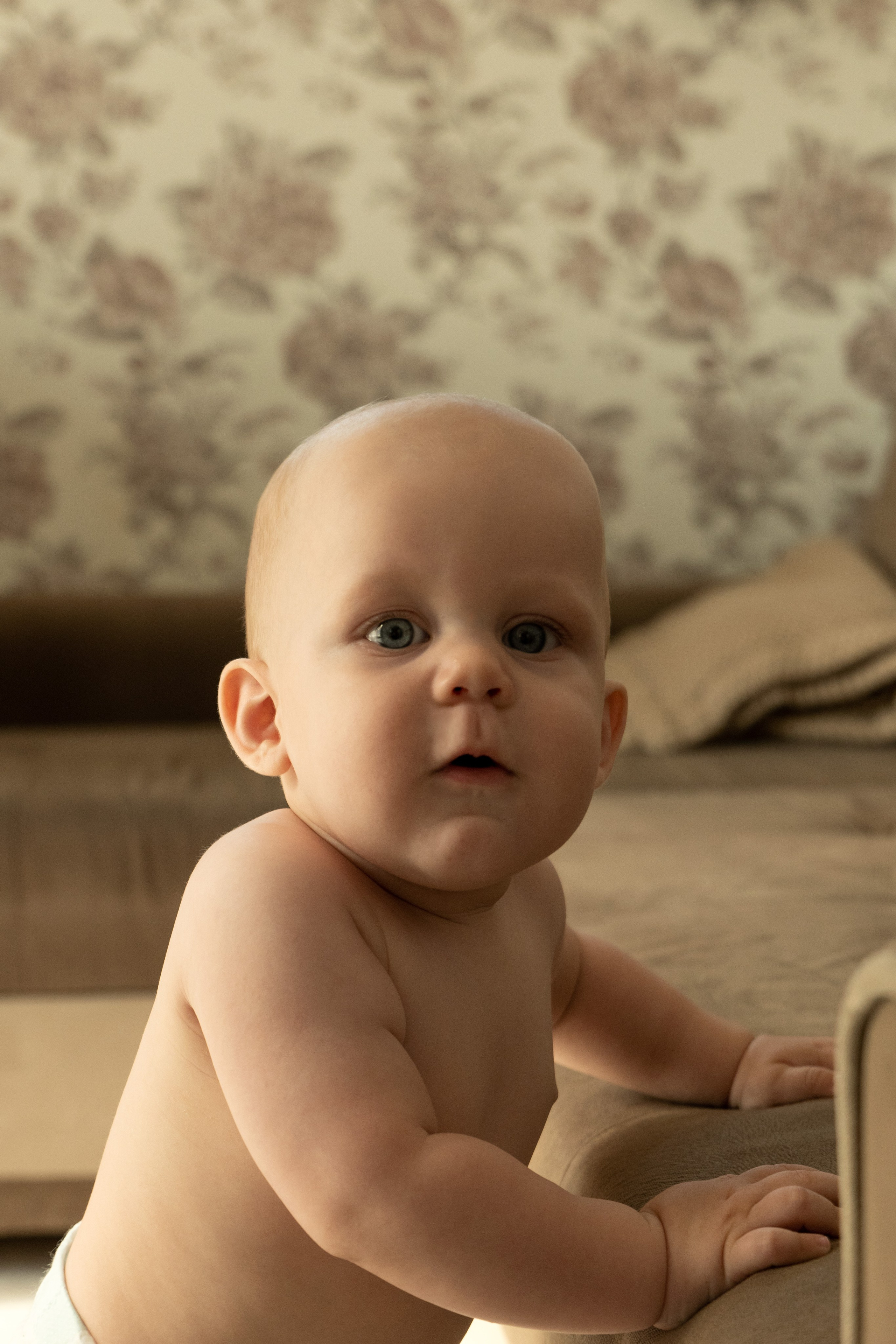 Лёве 8 месяцев. Фотограф видеограф Ольга Василевская