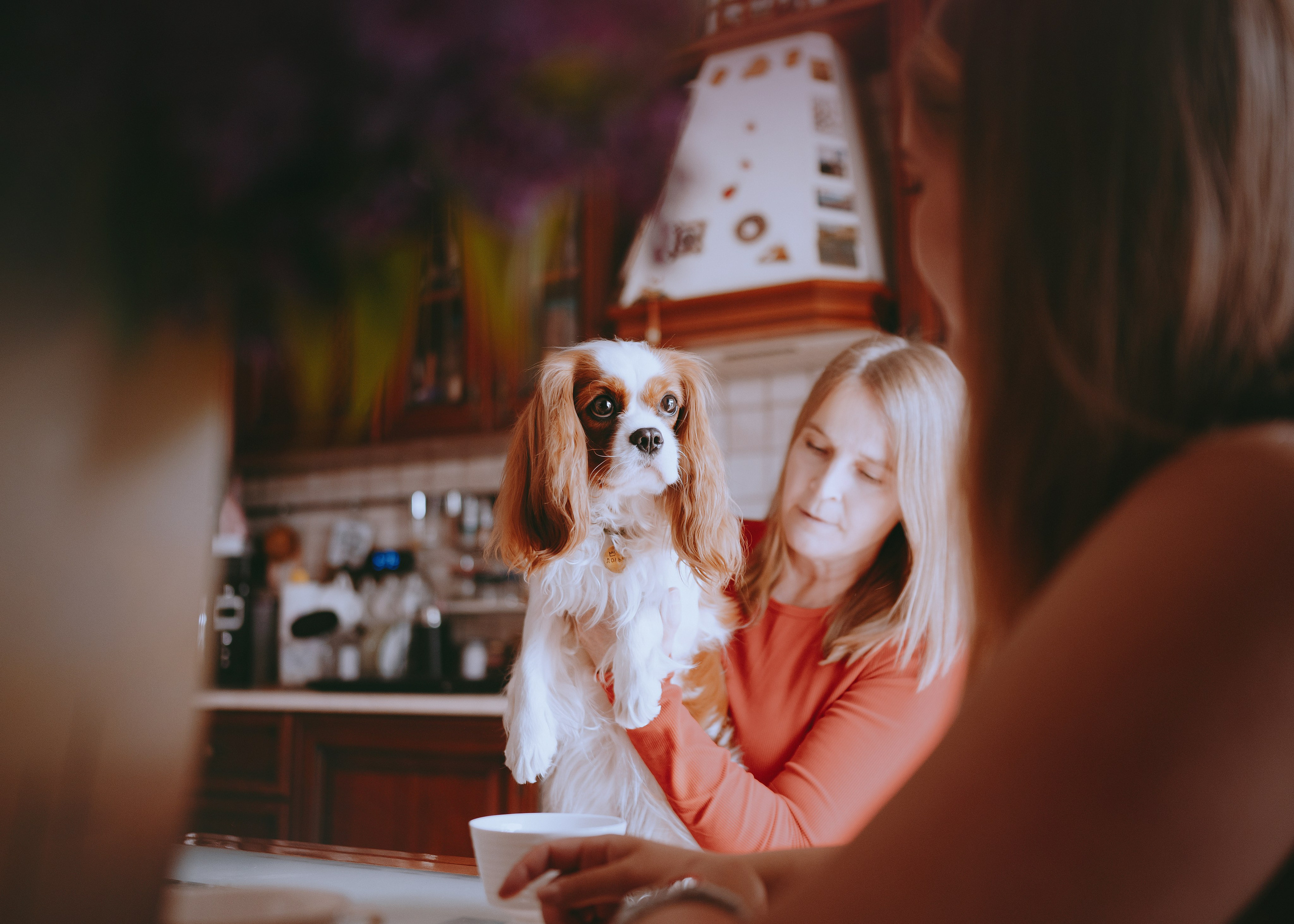 Дольче. Фотограф- анималист Александра Матвеева