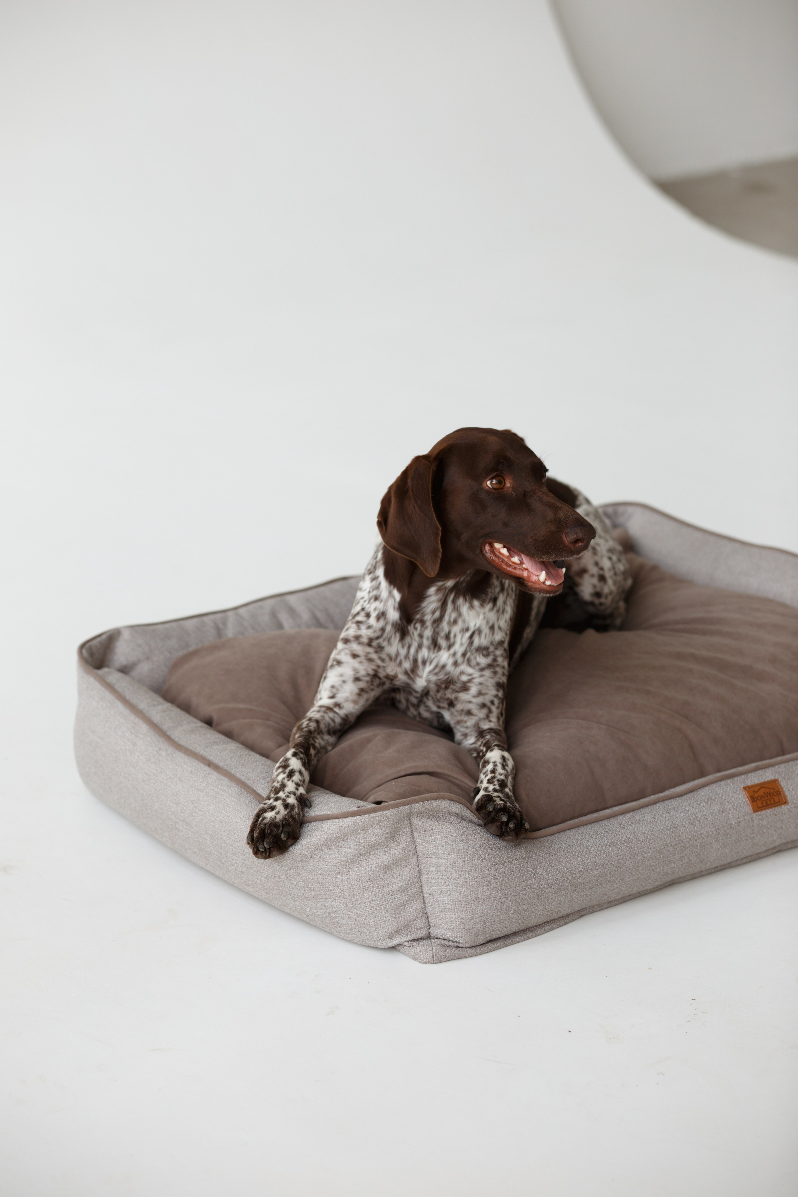 Boonwood Pets лежанки для животных. Фотограф анималист Кристина Карпова, Москва