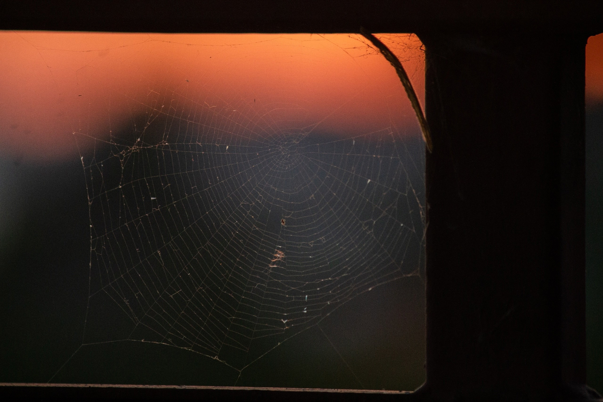 Абхазия. Фотограф и видеограф в Бугульме Аня Трутнева