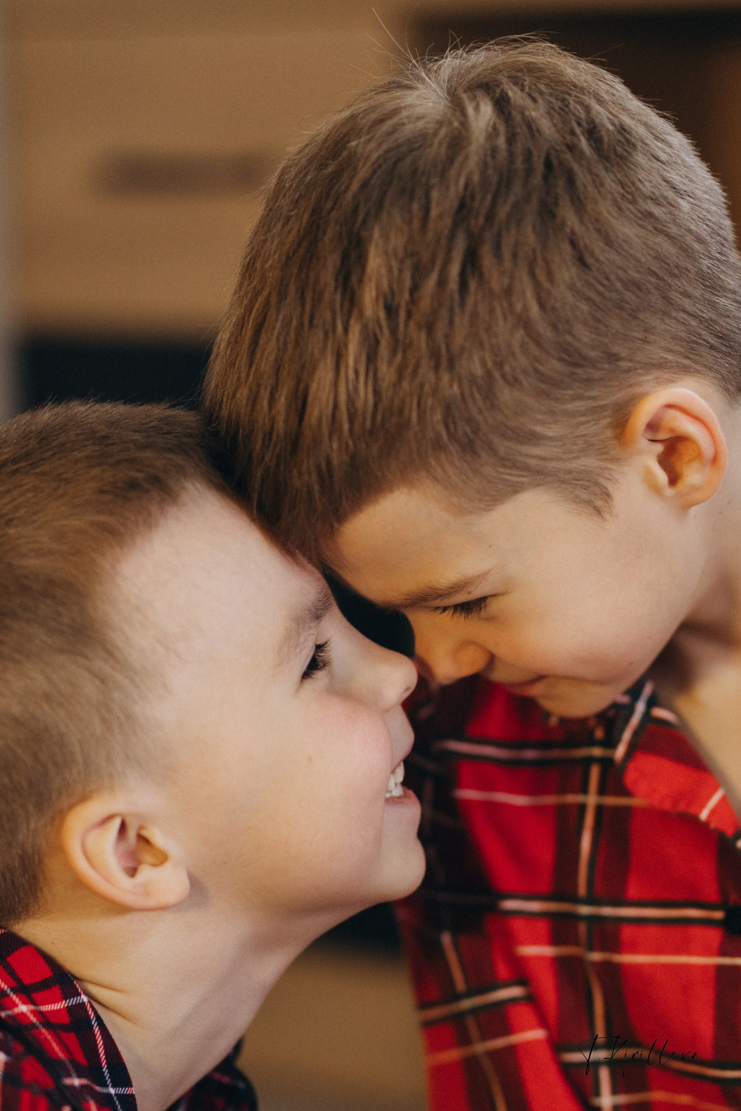 Новогоднее утро. Фотограф-анималист в Москве Кириллова Татьяна