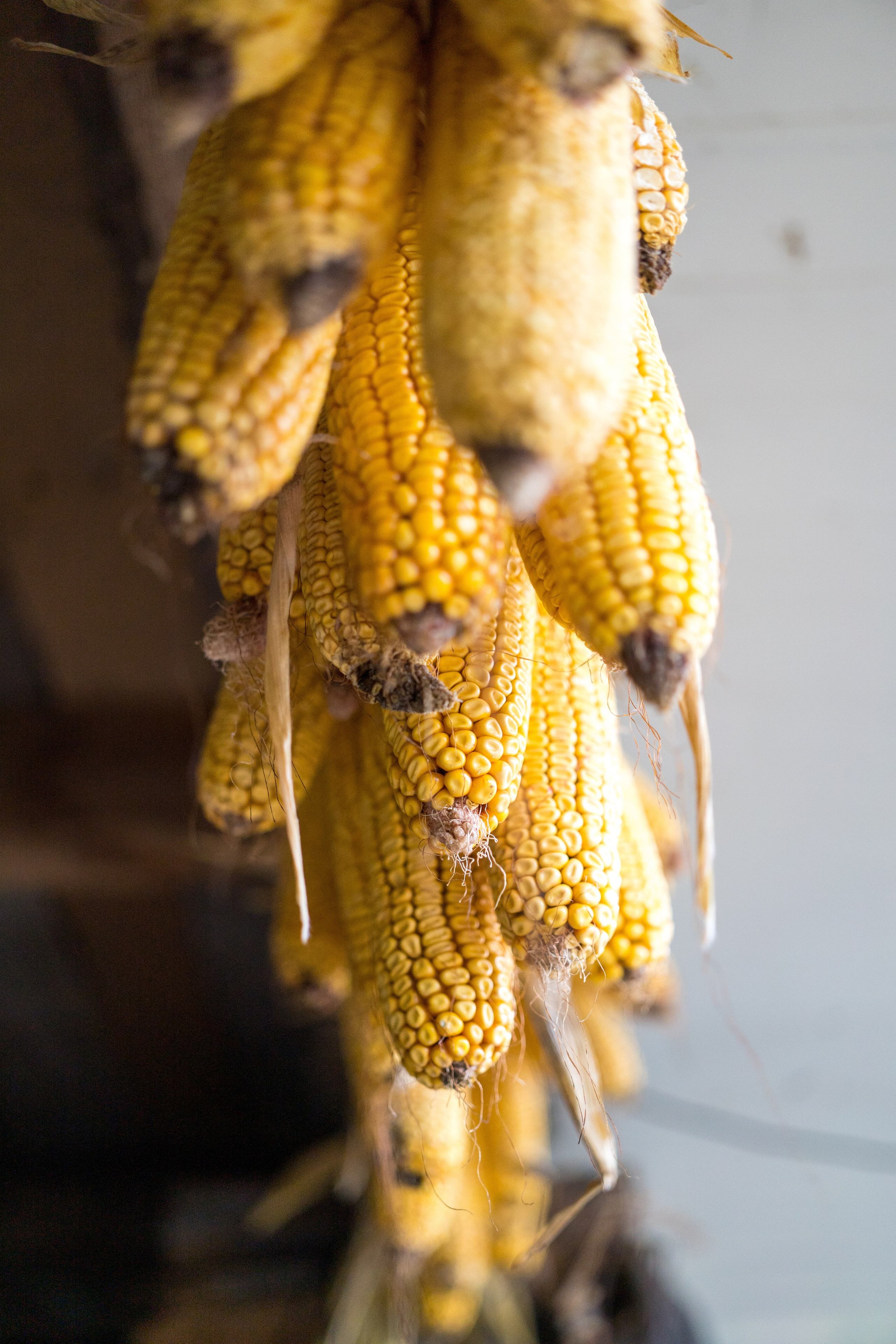 STREET. Репортажный фотограф. Москва