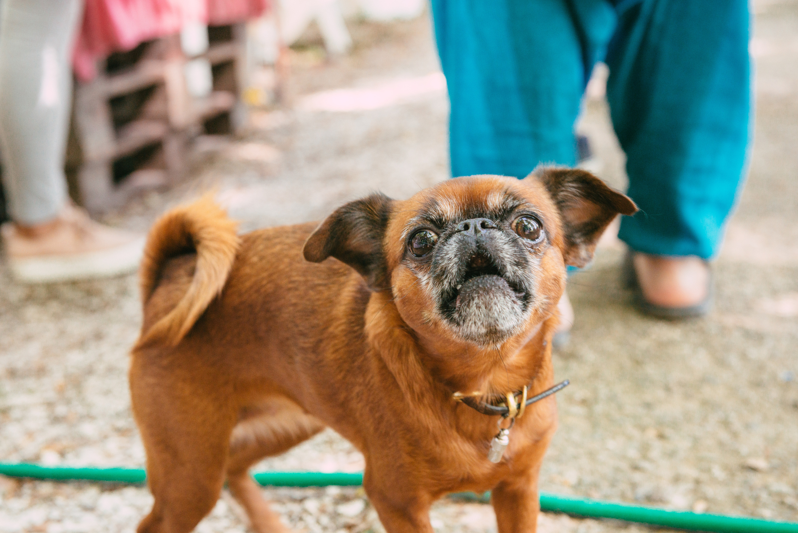 Репортажная фотосъемка в Сочи. Портретный и репортажный фотограф в Сочи Рамодина Юлия