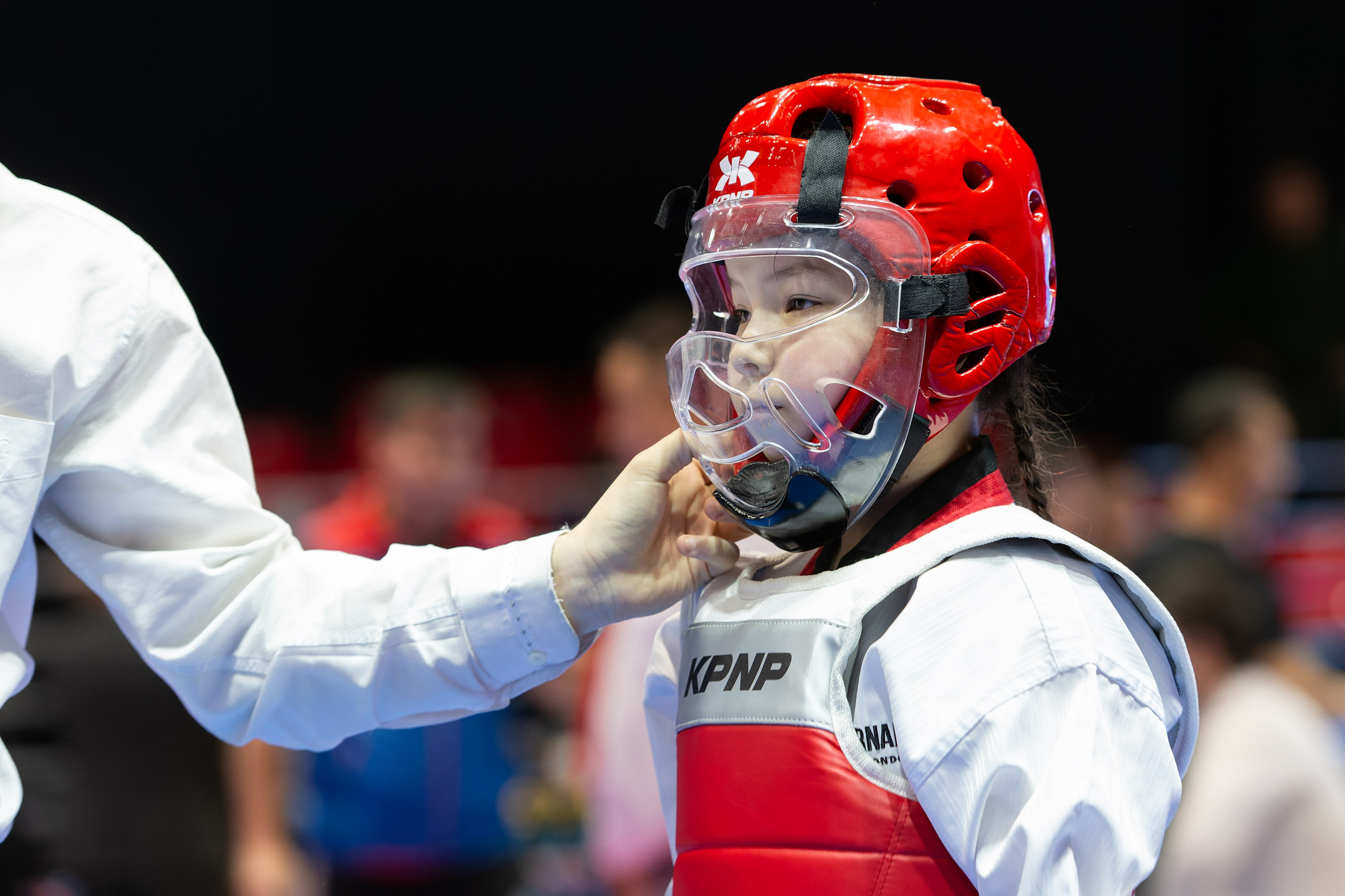 Дальневосточный фестиваль восточных единоборств. Кутузов Евгений Фотограф в Южно-Сахалинске