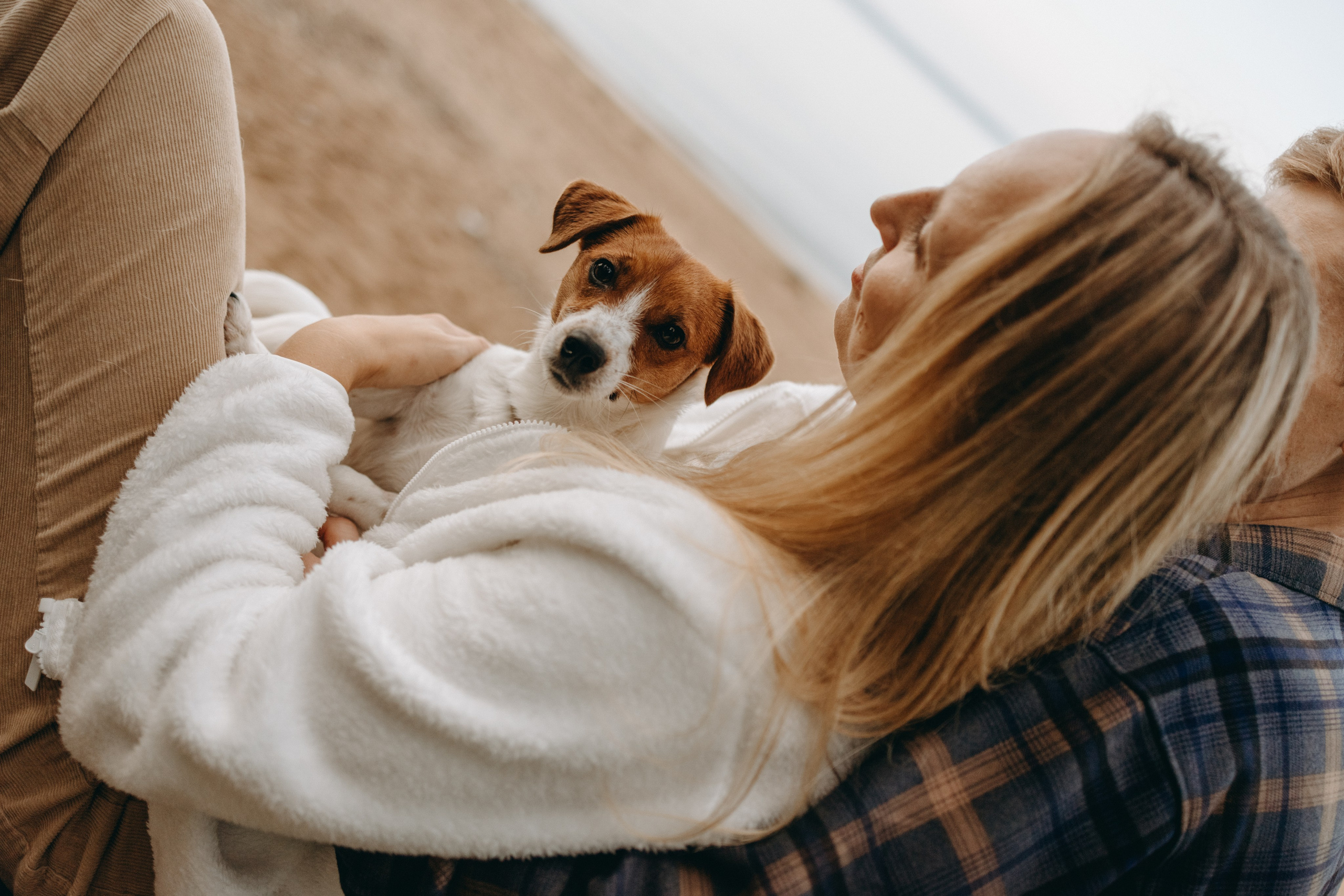 Лея и ее семья. Фотограф — Анималист | Санкт-Петербург