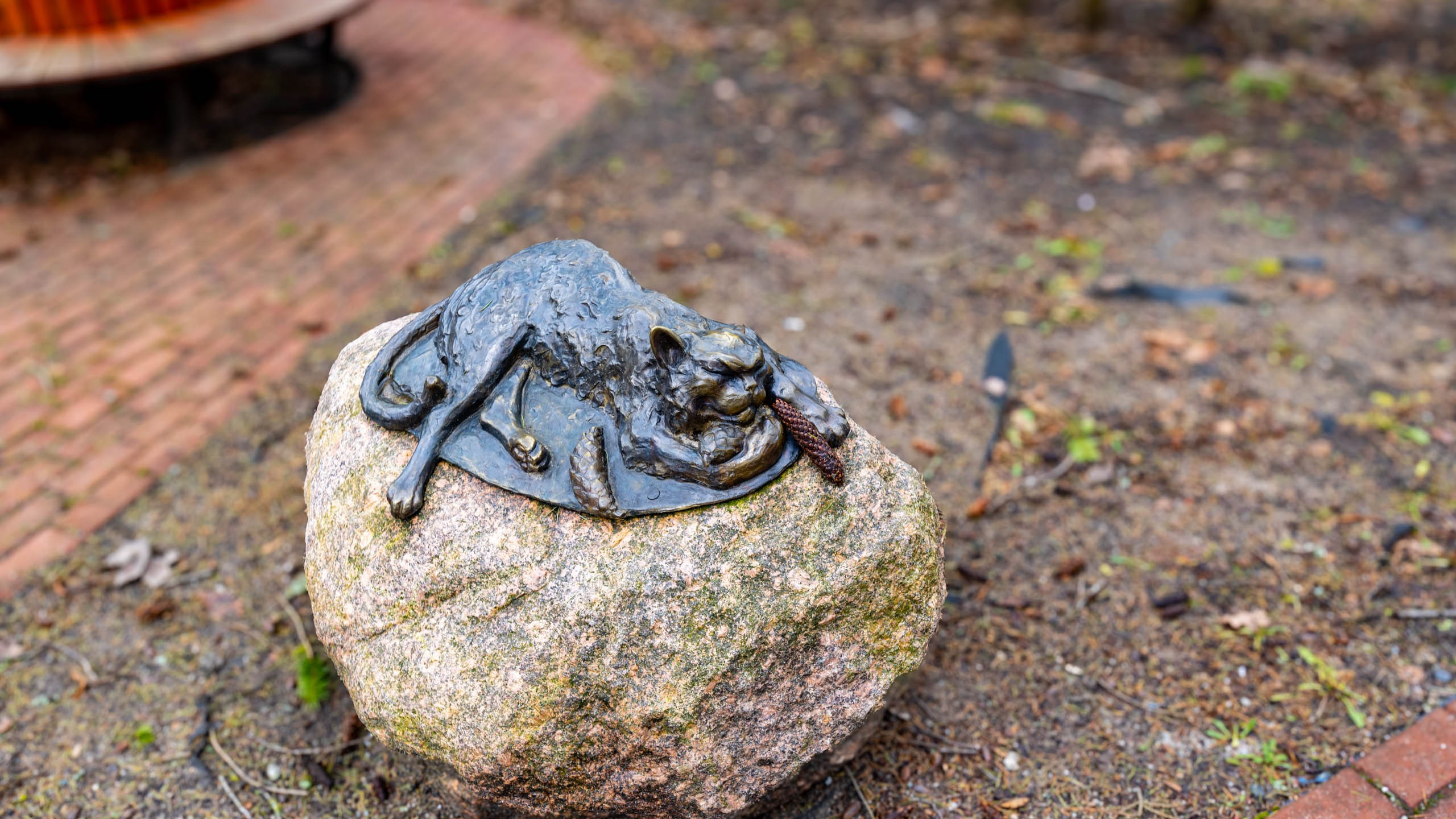 2024 01 Калининград (Светлогорск, Зеленоградск). Фотографии