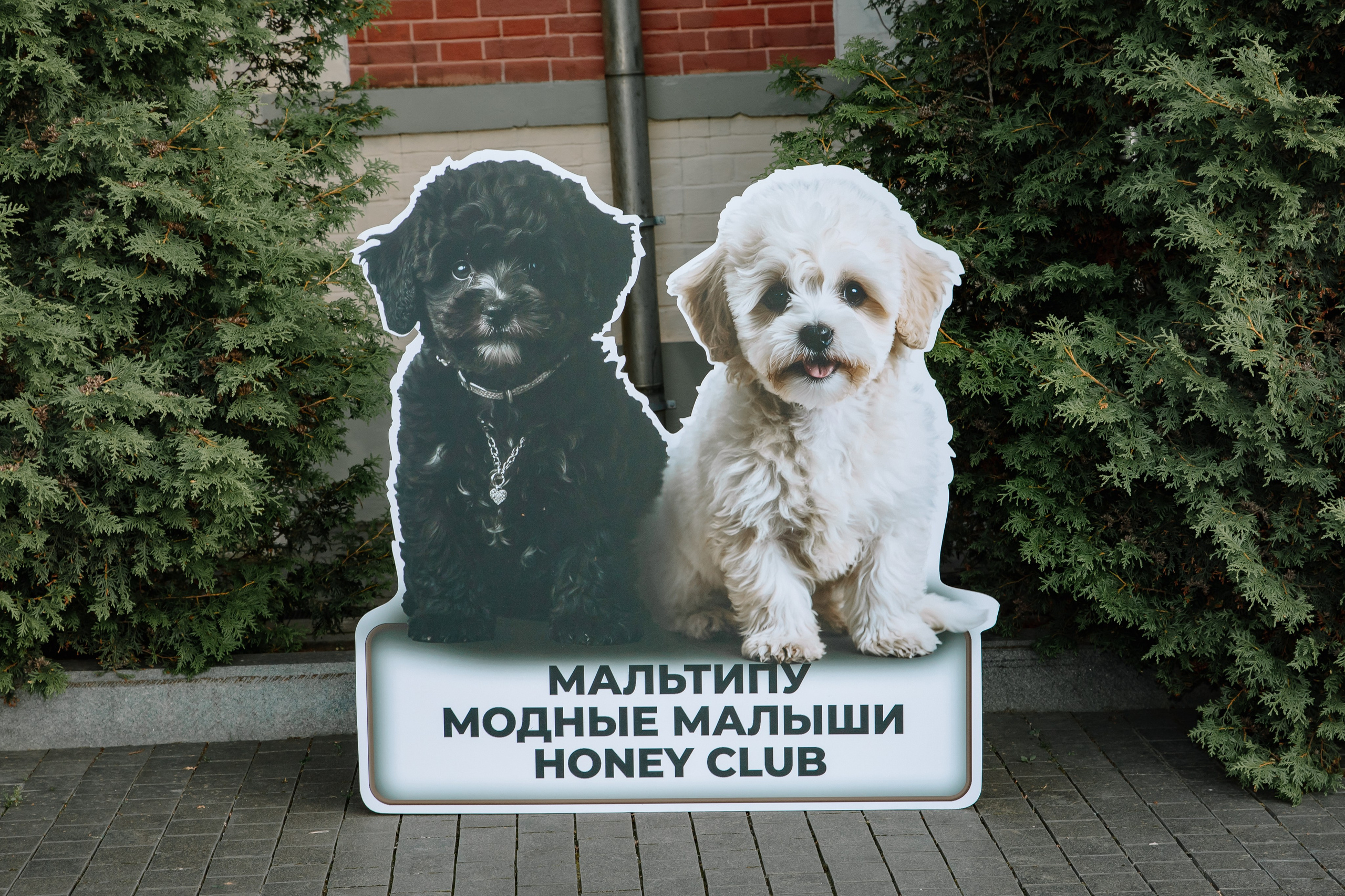 AESTHETIC ONLY в Петровском путевом дворце. Фотограф в Москве Яна Полосина