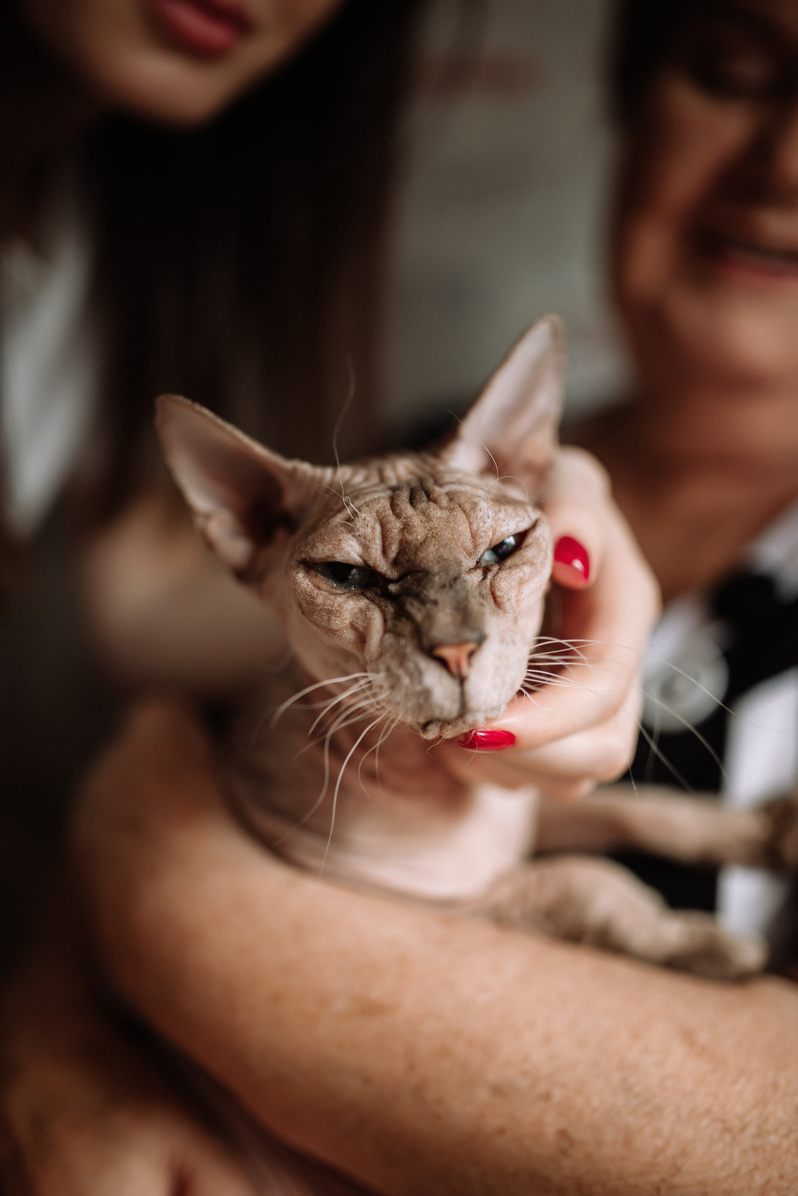 Бабушка как самое главное. Фотограф Котова Валентина