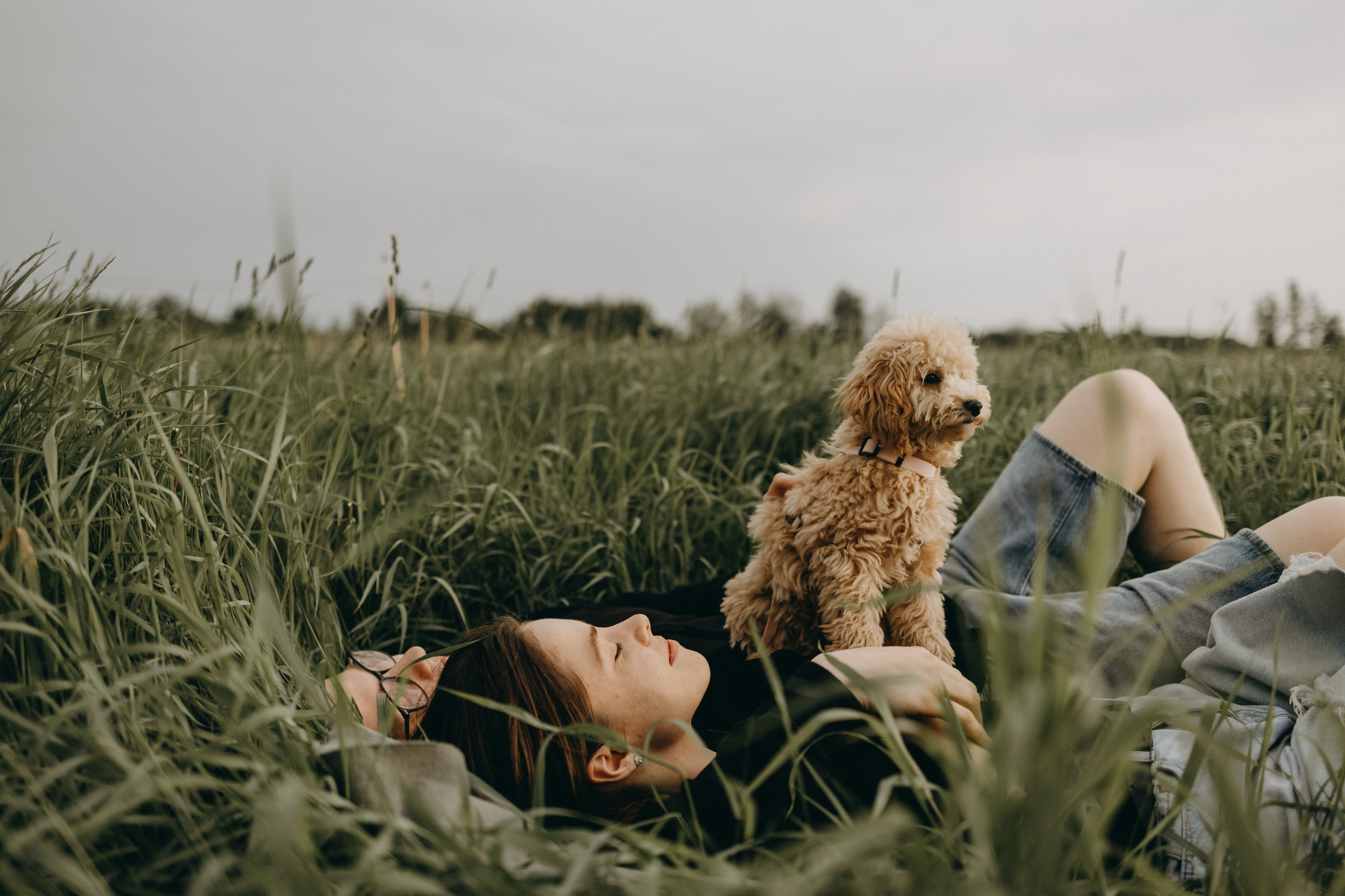 Мия и ее семья. Фотограф — Анималист | Санкт-Петербург