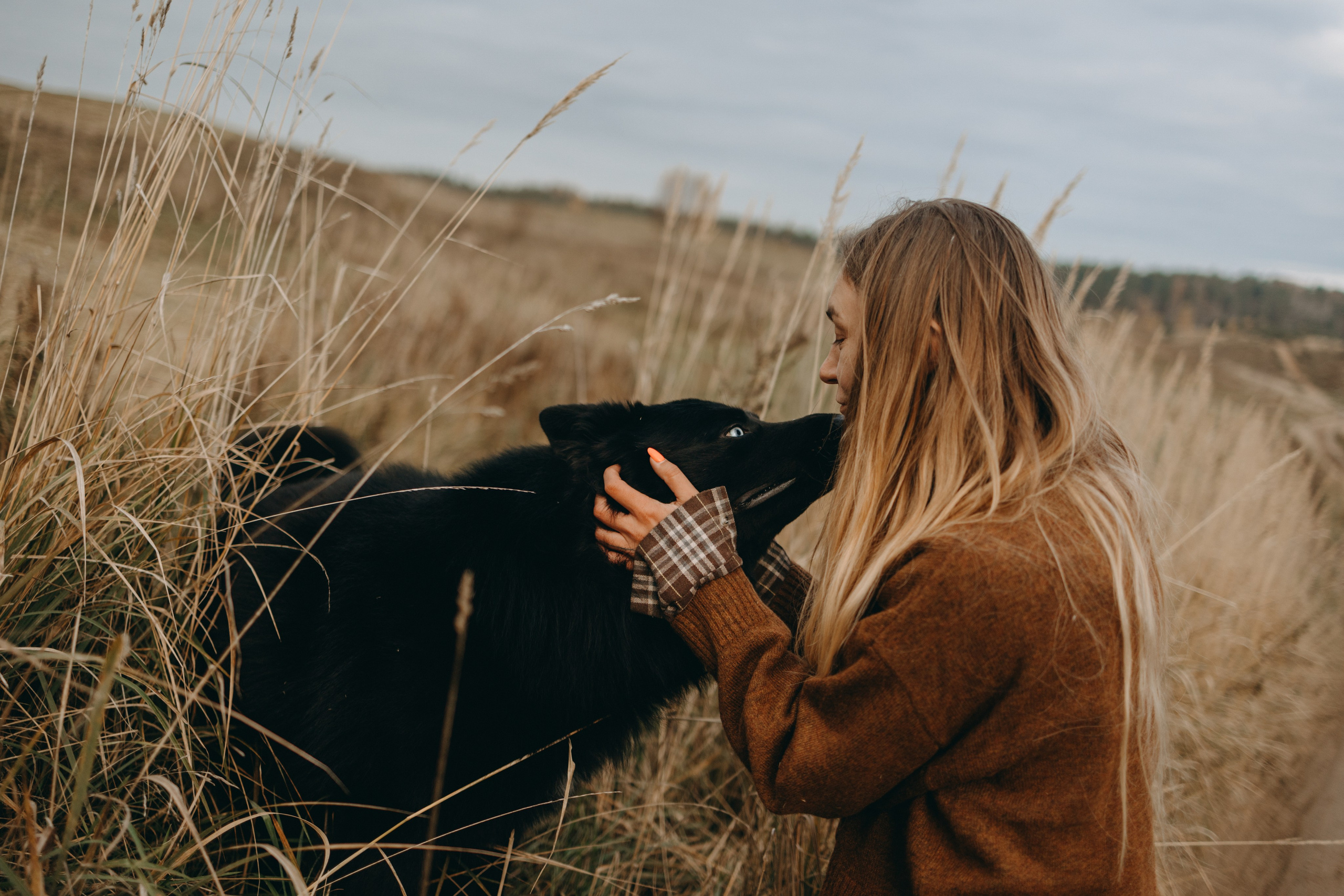 Лора и Джанго. Фотограф — Анималист | Санкт-Петербург