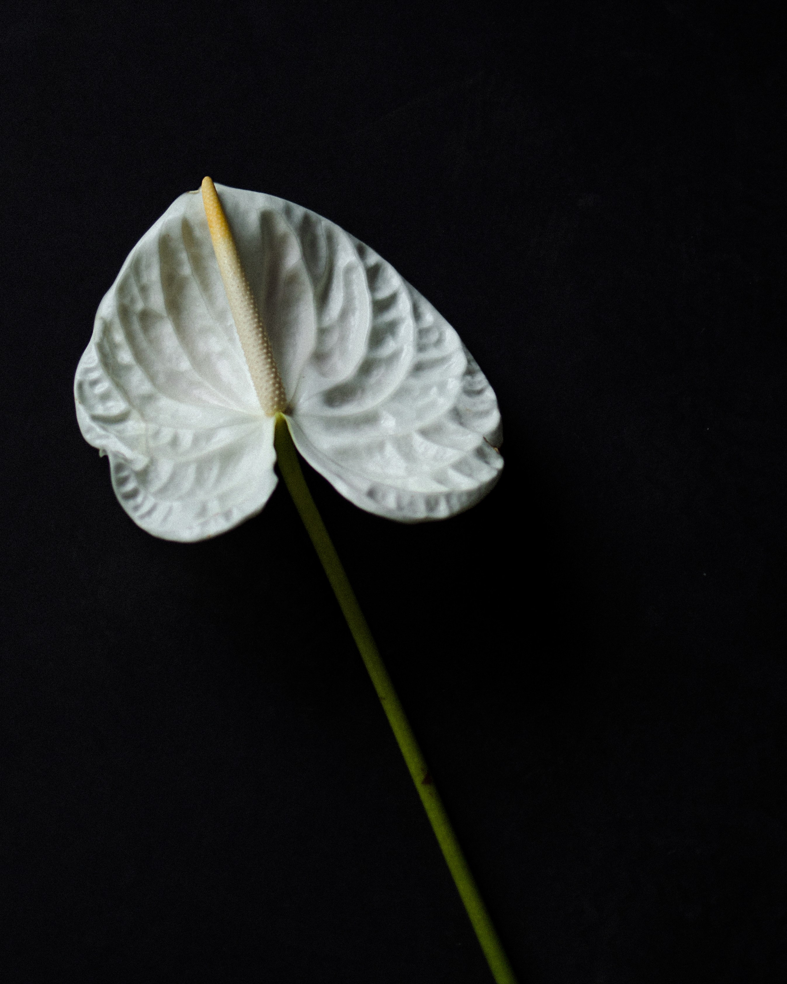 Masha. Фотограф для брендов и индивидуальных фотосессий в Москве