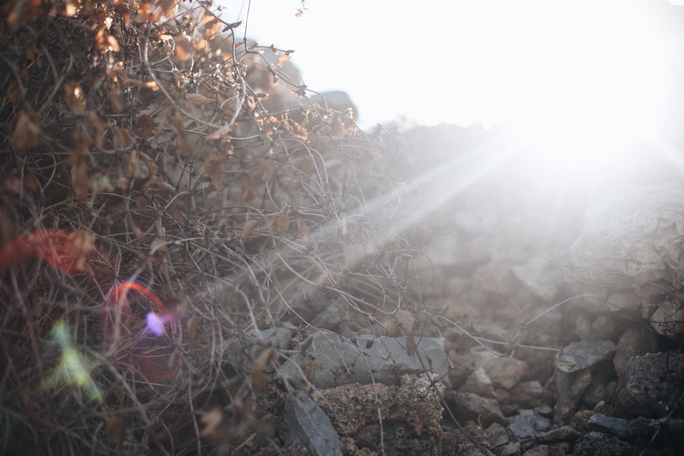 Волна. Ксения Плотникова