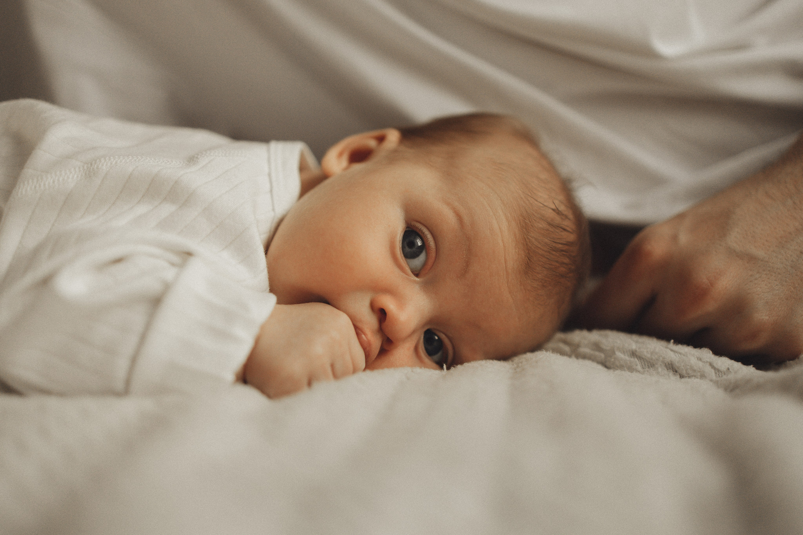 Домашняя история. Семейный и детский фотограф, таганрог, ростов-на-дону