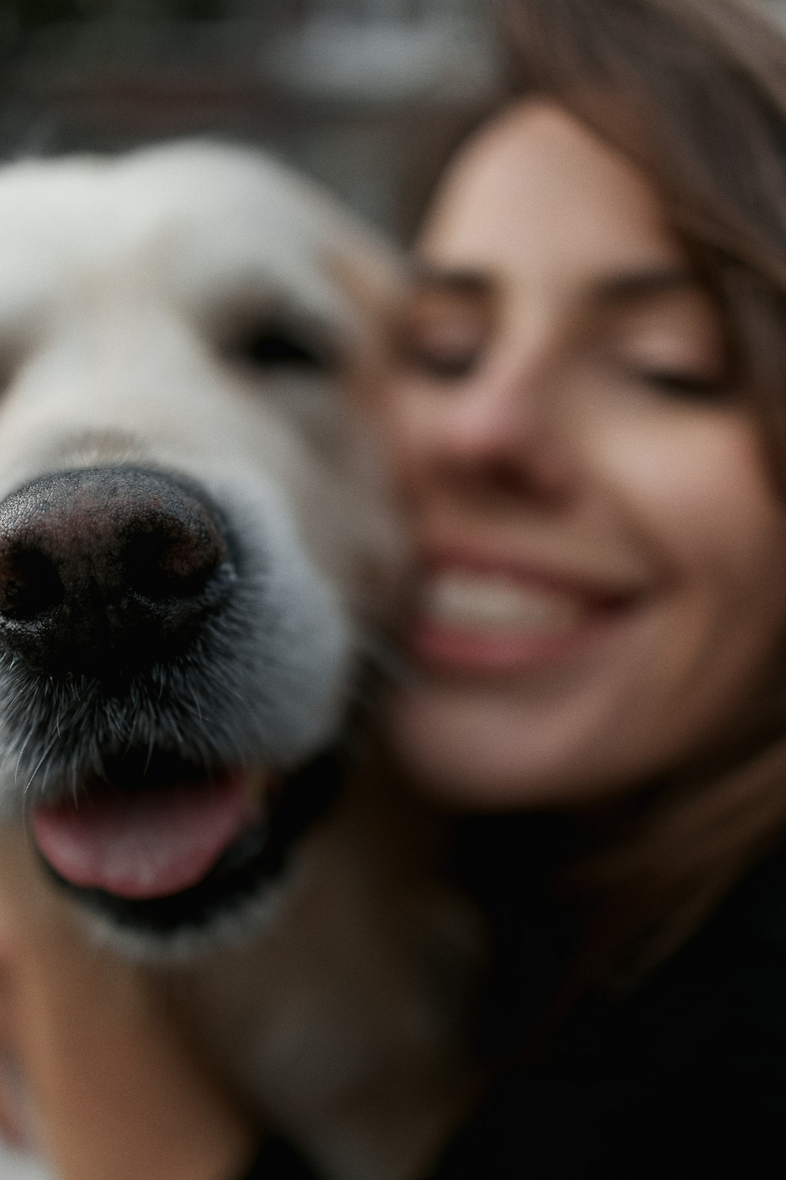 Olya&Batler. Katerina Simina — worldwide photographer | Europe