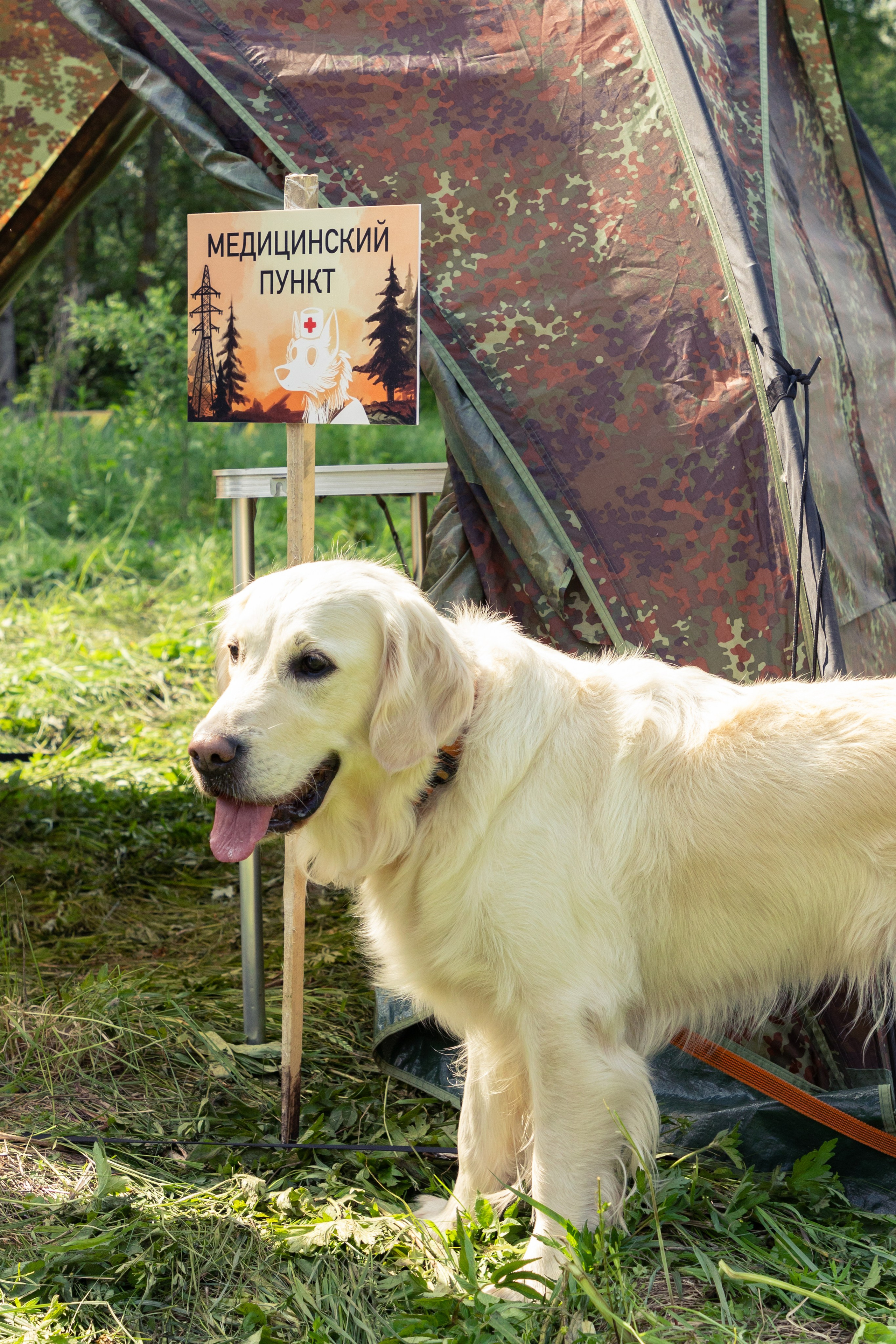 ДПСО «ЛизаАлерт». Главная