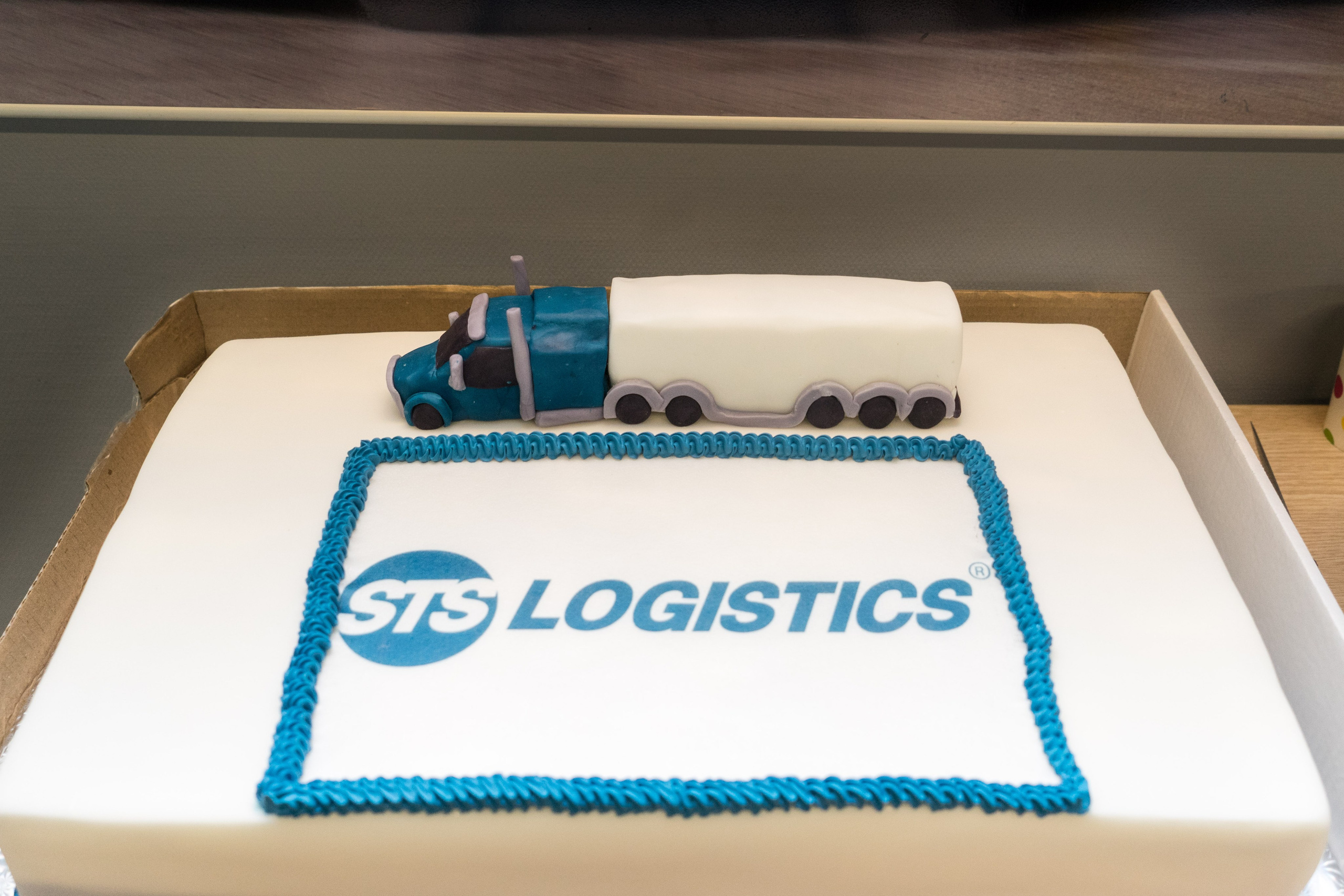 Корпоратив STS Logistic. Твой фотограф — Полосатый кот